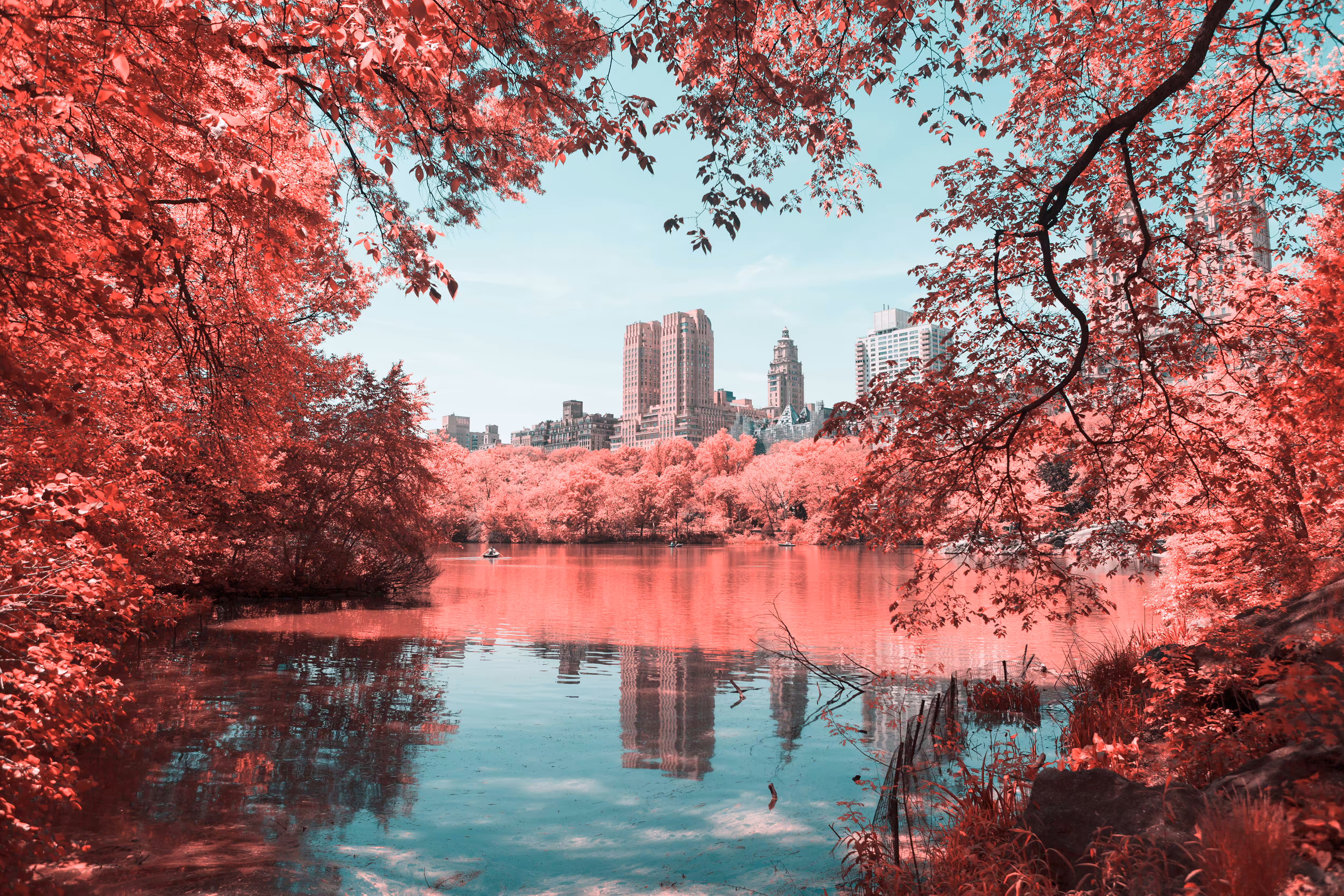 Central Park (IR040)