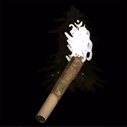 NoZmokeApp