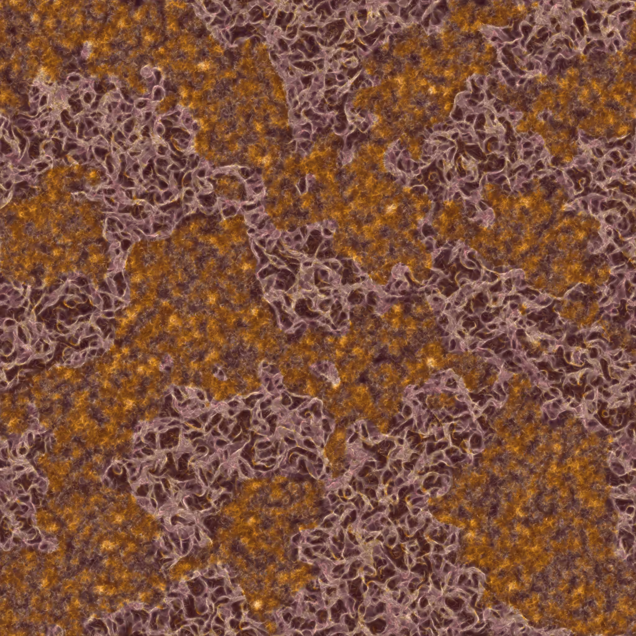 saprophyte #119