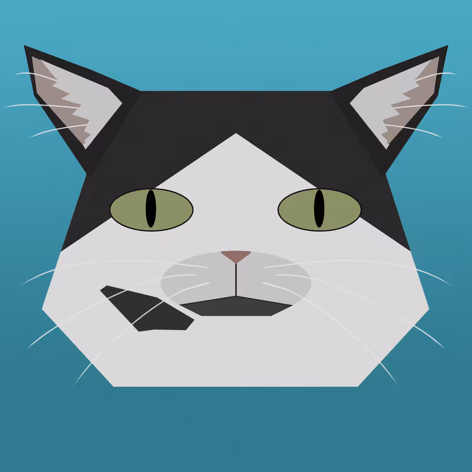 kitty #19 - cymric