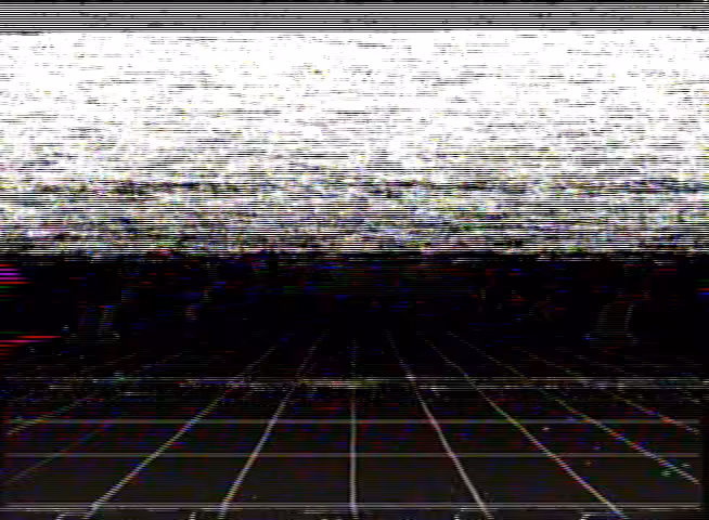 Dankbots® VHS 