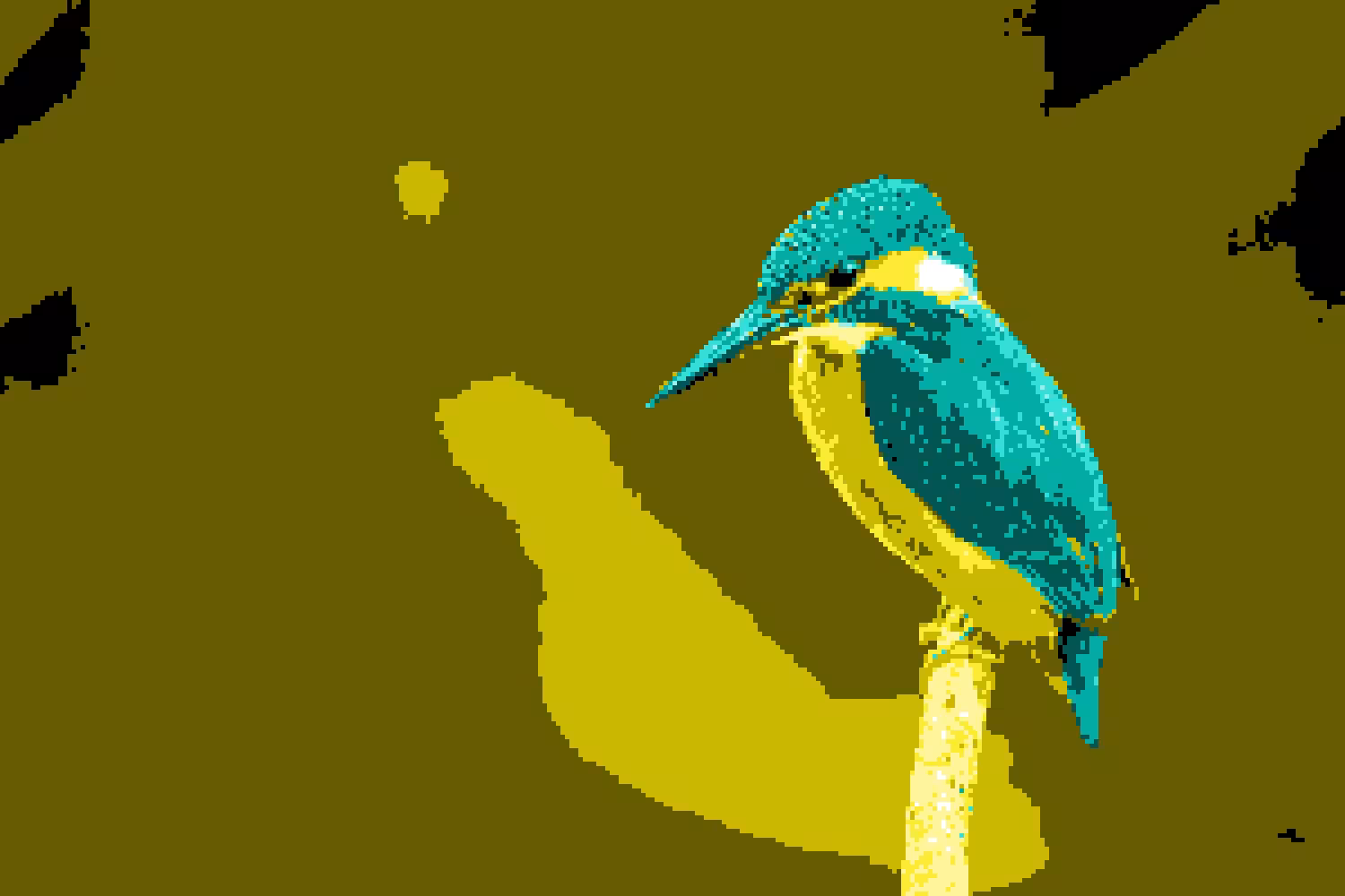 Bird #1