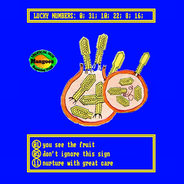 Book Of Fortune #22