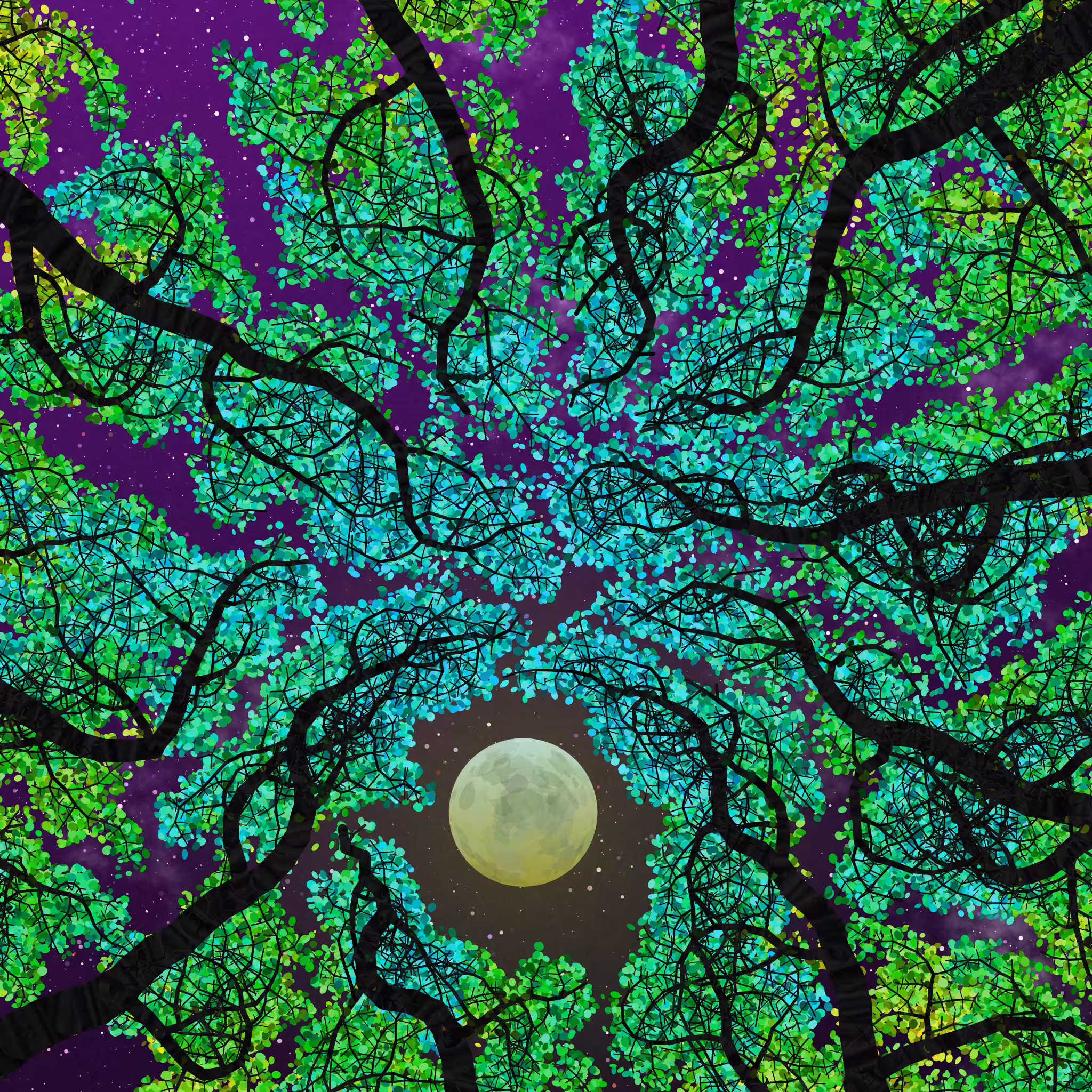 Tree Skyness #6