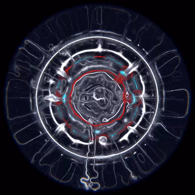Ethereal Microcosm #85