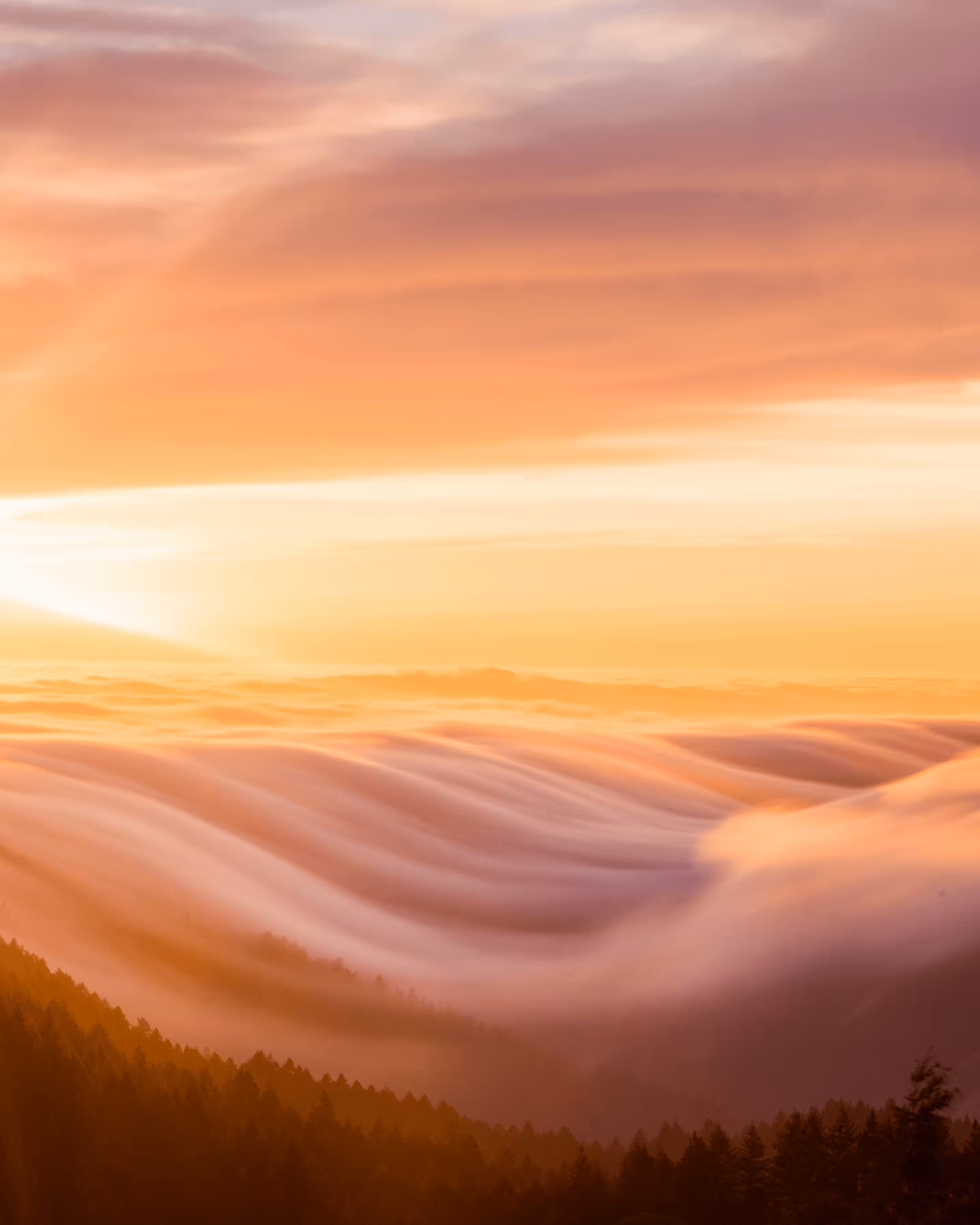 A Symphony of Fog #33