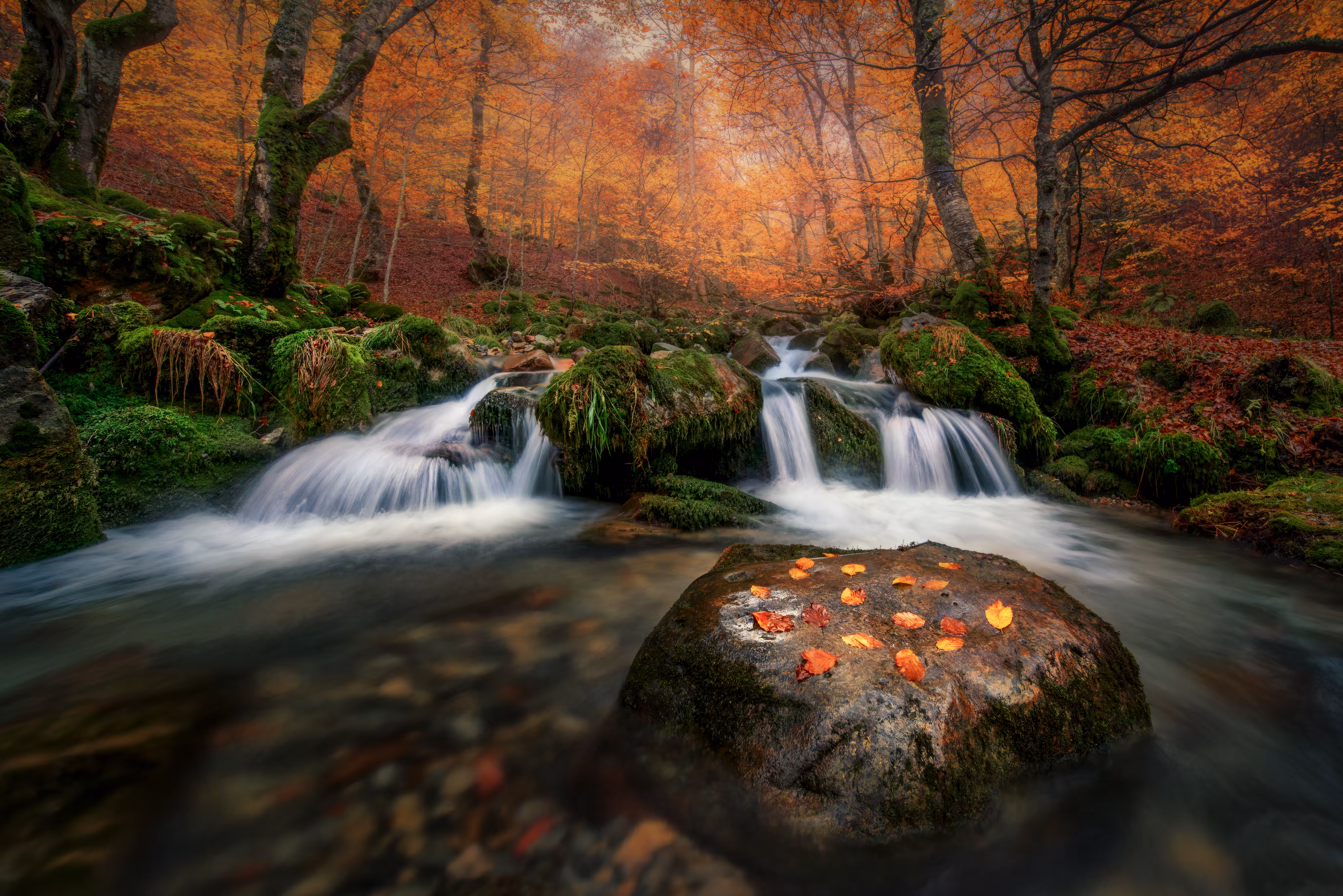 Magic Colours