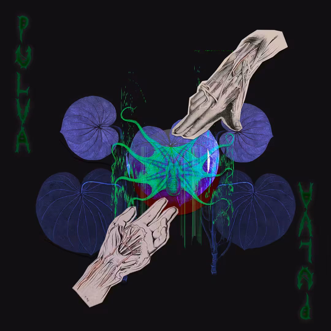 PULVA
