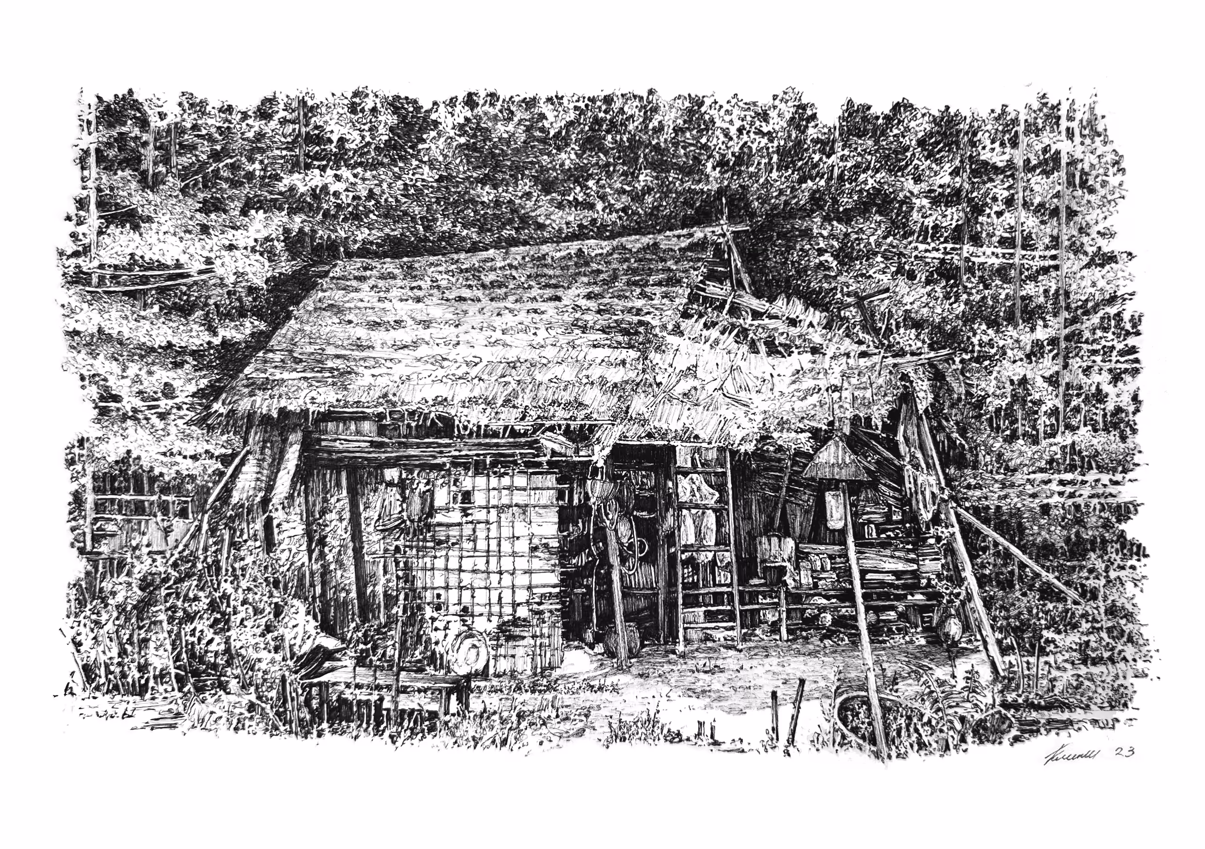 Overgrown house #9