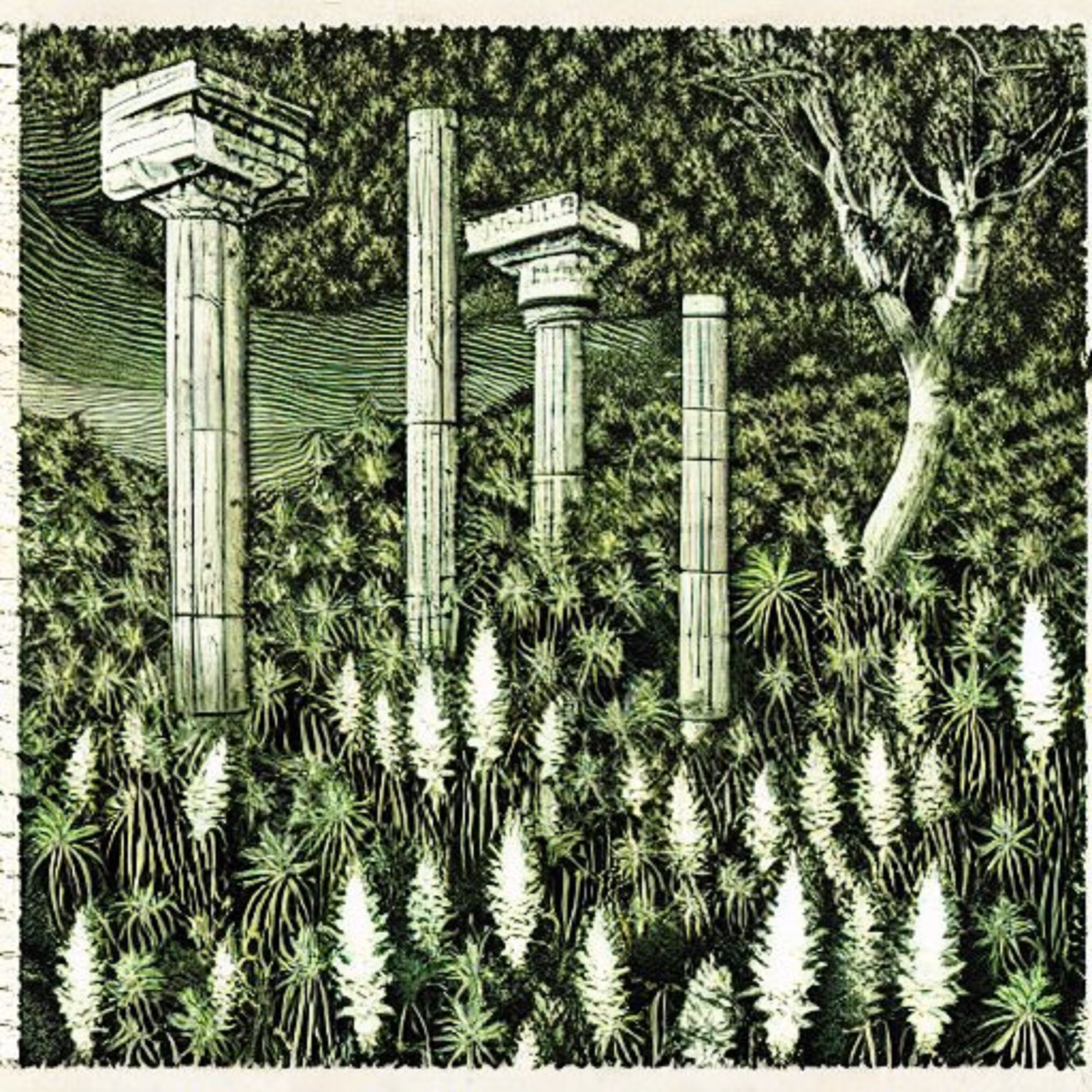 MONOLITHIC 37