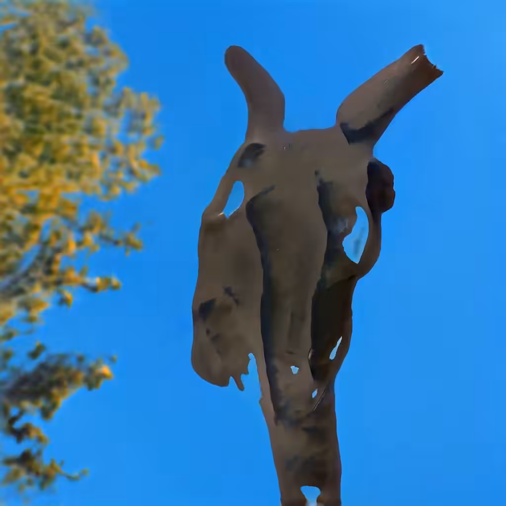 Bones In The Sky Marfa No. 38