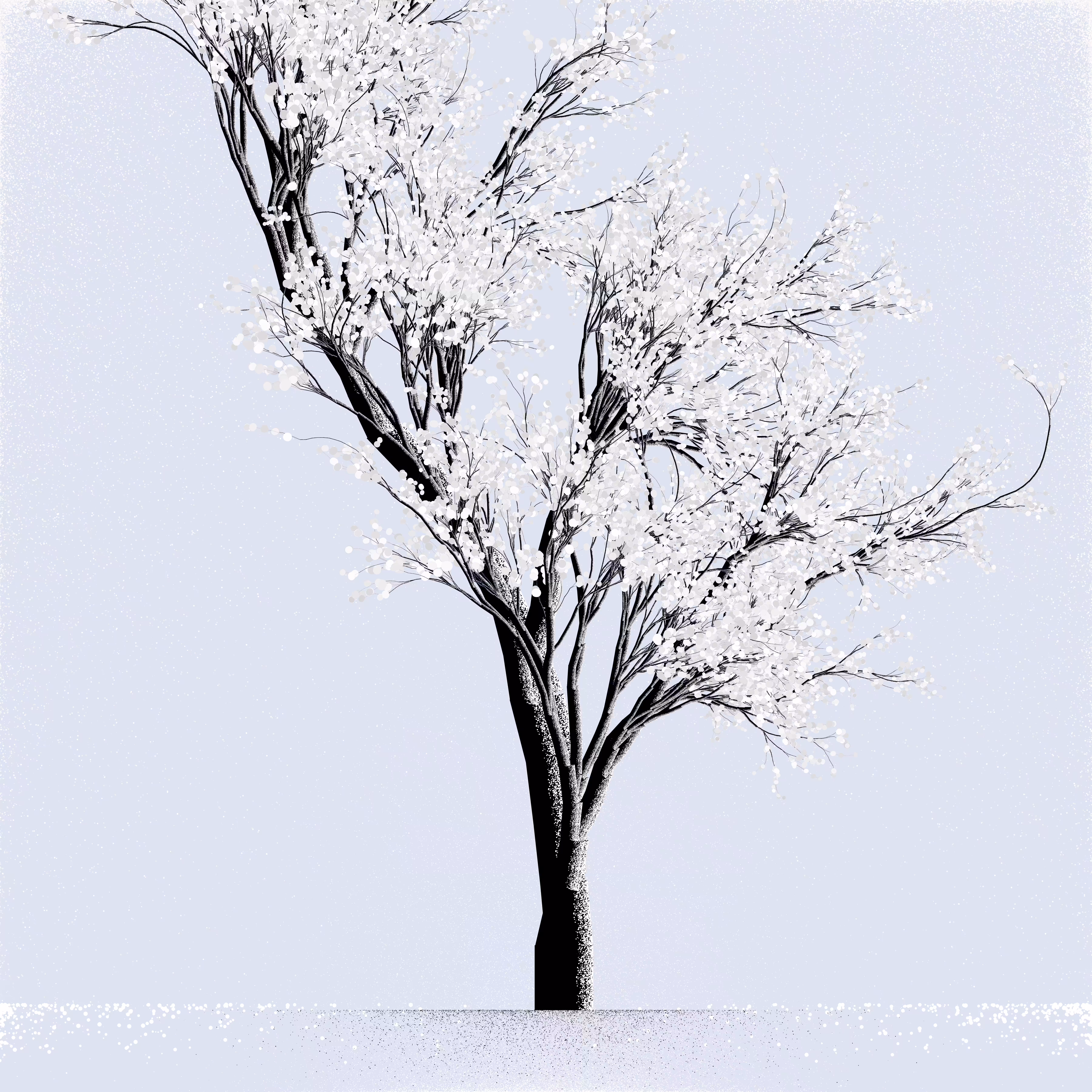 Snow Tree #44