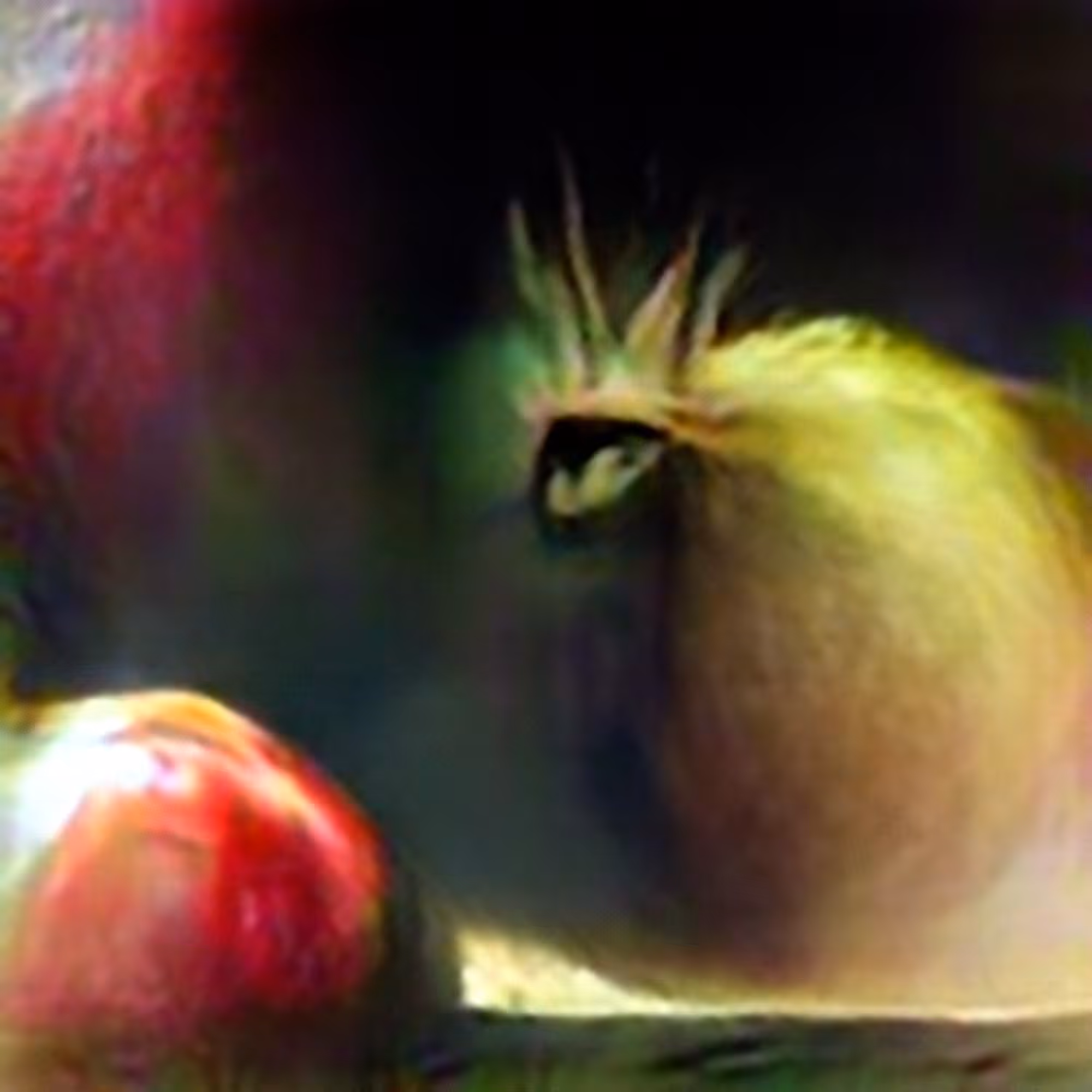 Apple #4 (Corpus: Still Life Objects of the Renaissance)