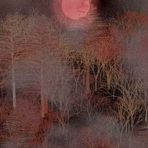 Moonlit Native Bush #61