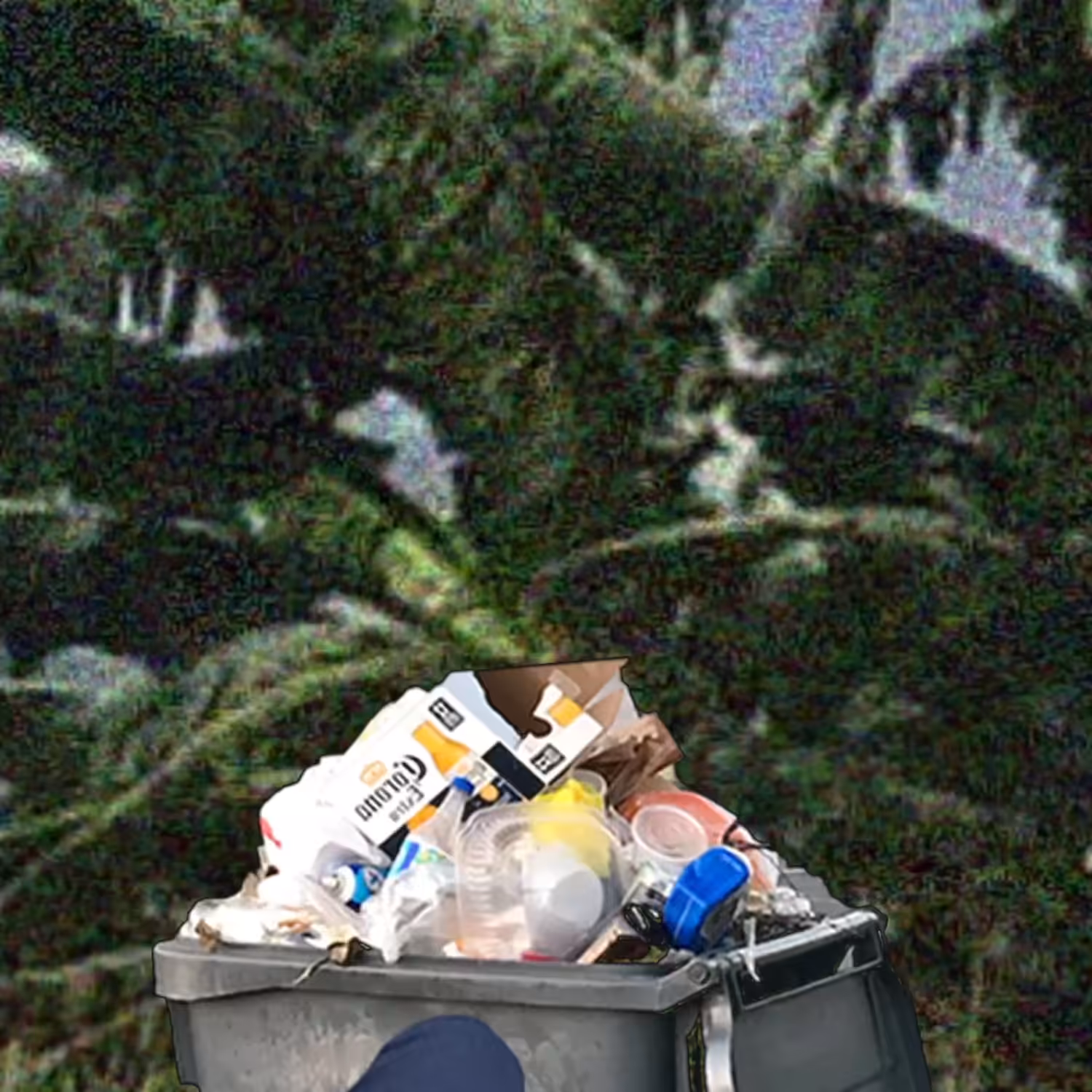 THE FUCKING TRASH