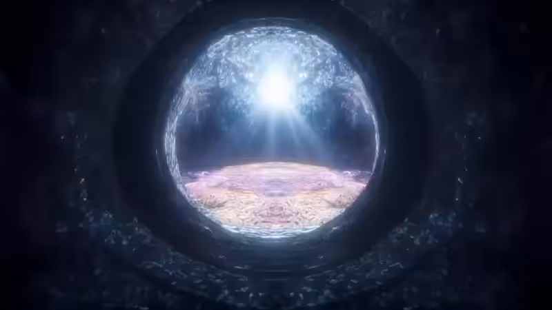DX01: SINGULARITY 41645