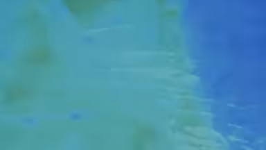 TE 04