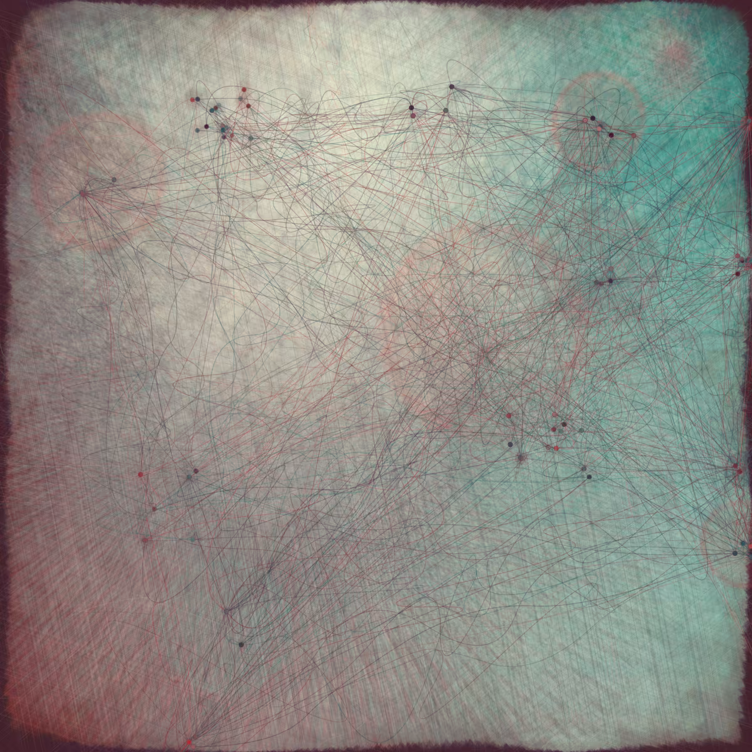 Reticulum