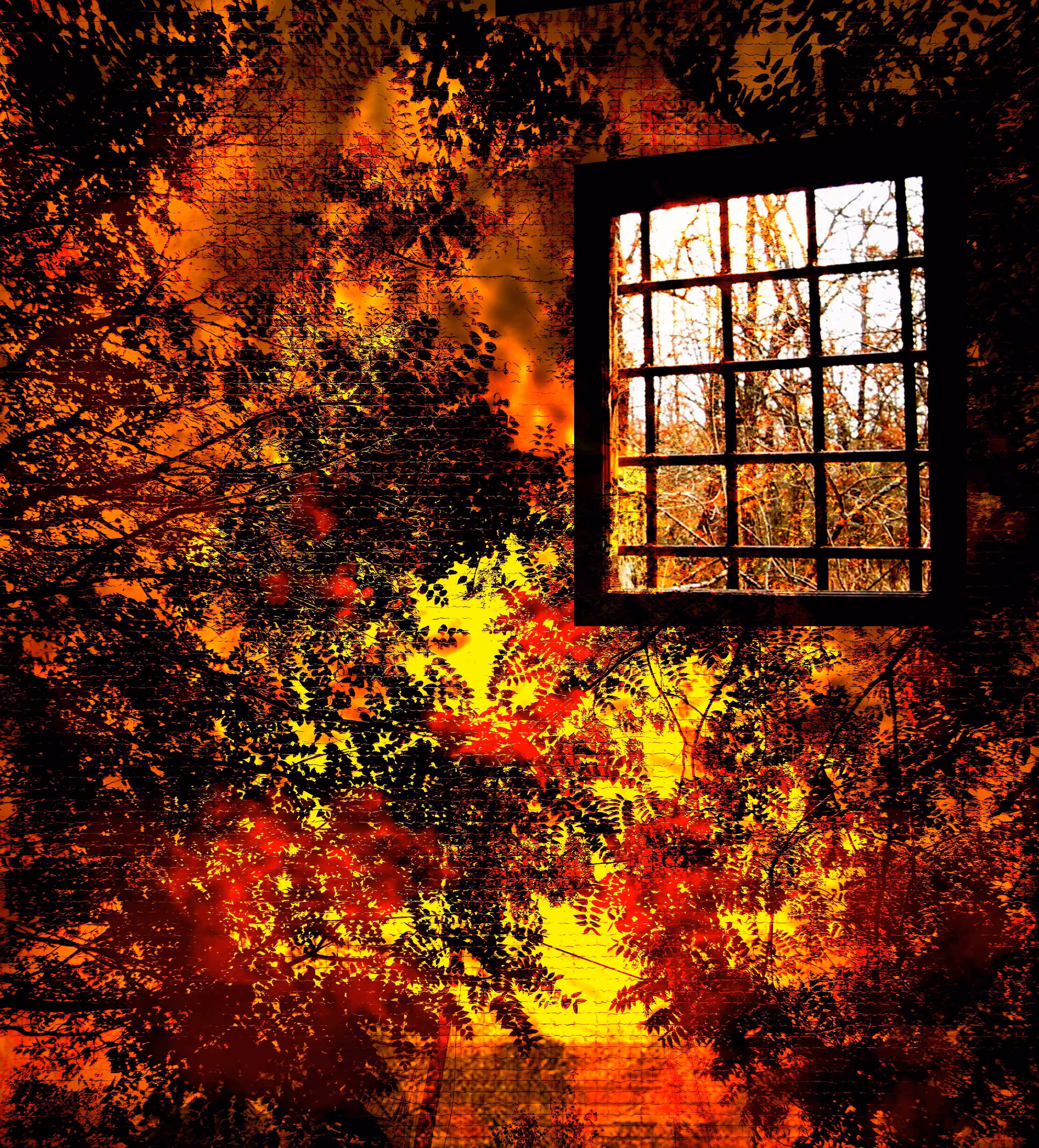 Autumn in prison