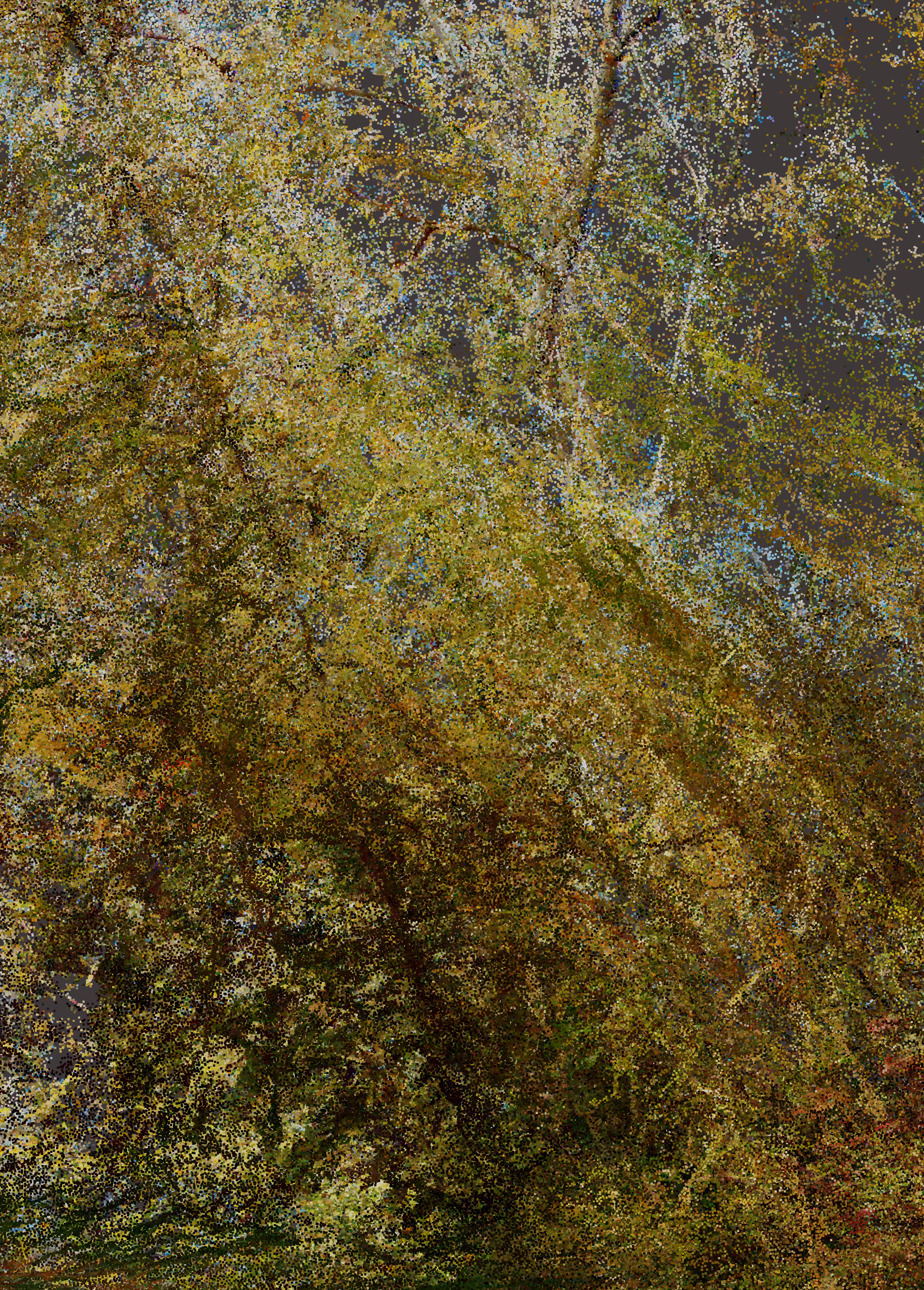 Provence G_01-9