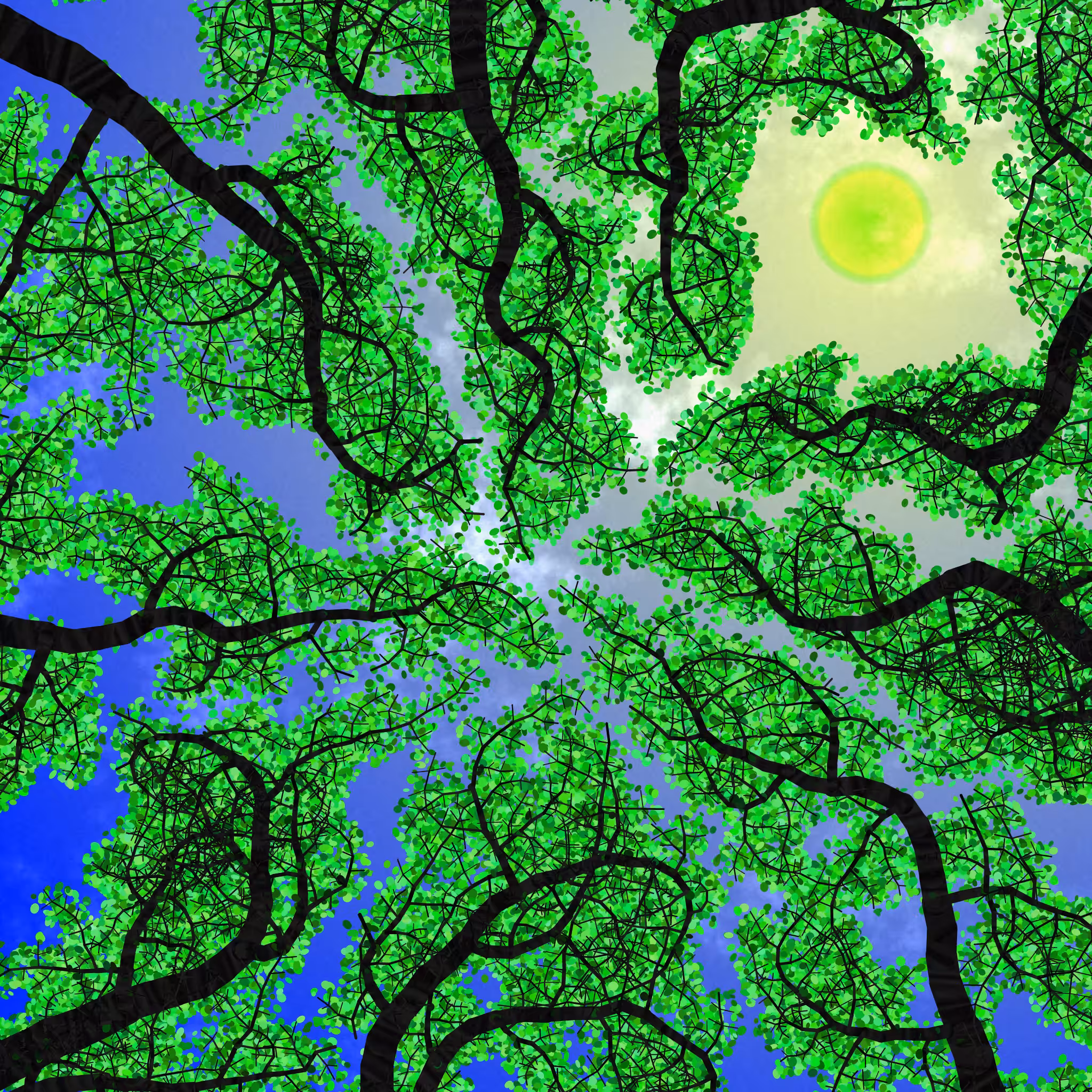 Tree Skyness #50