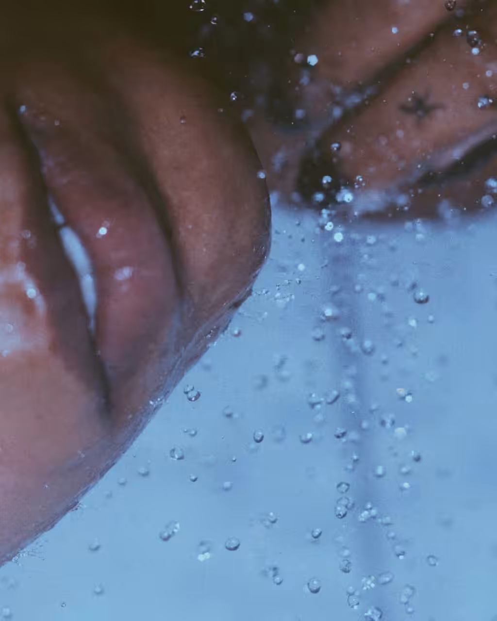 PISCES