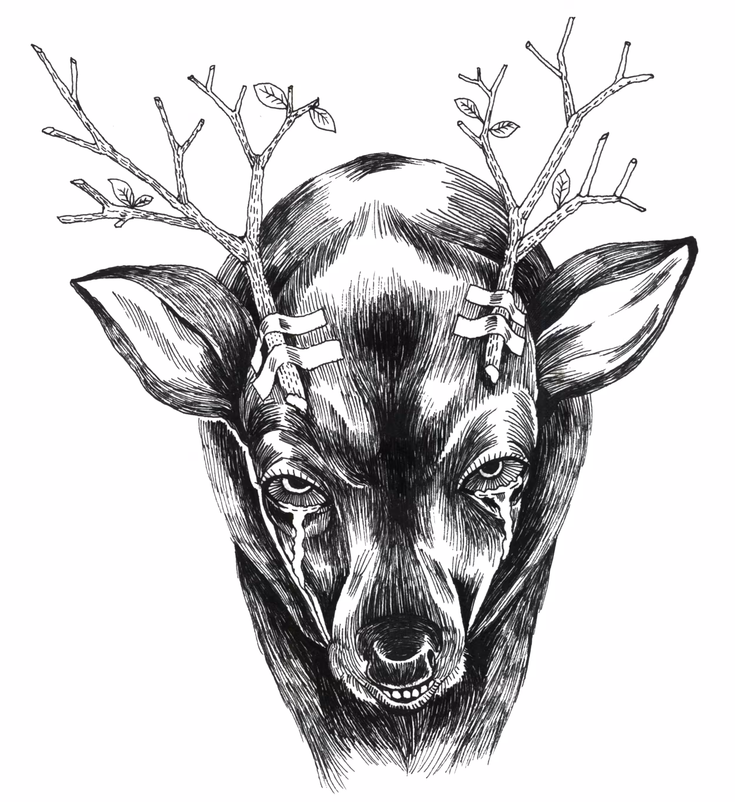 Fookhat Animal illustration