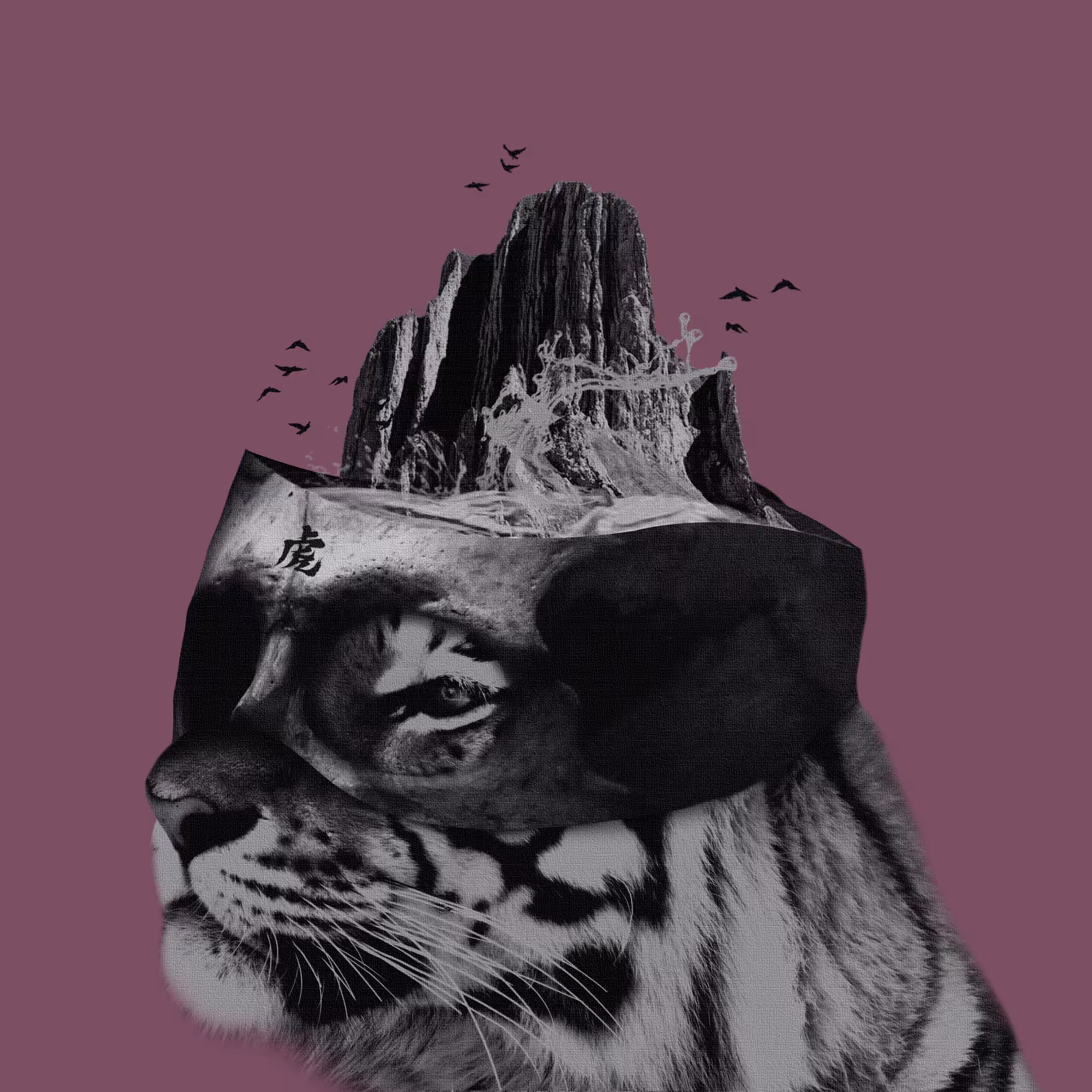 Year of Tiger