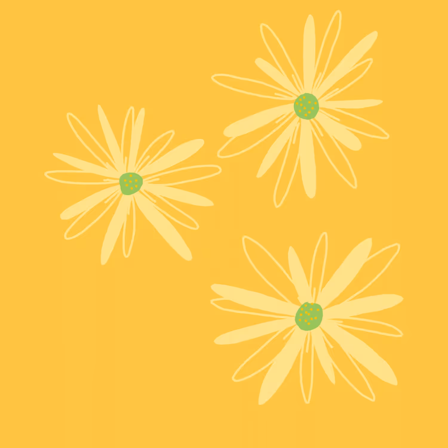 Hidy Daisies - Imbolc