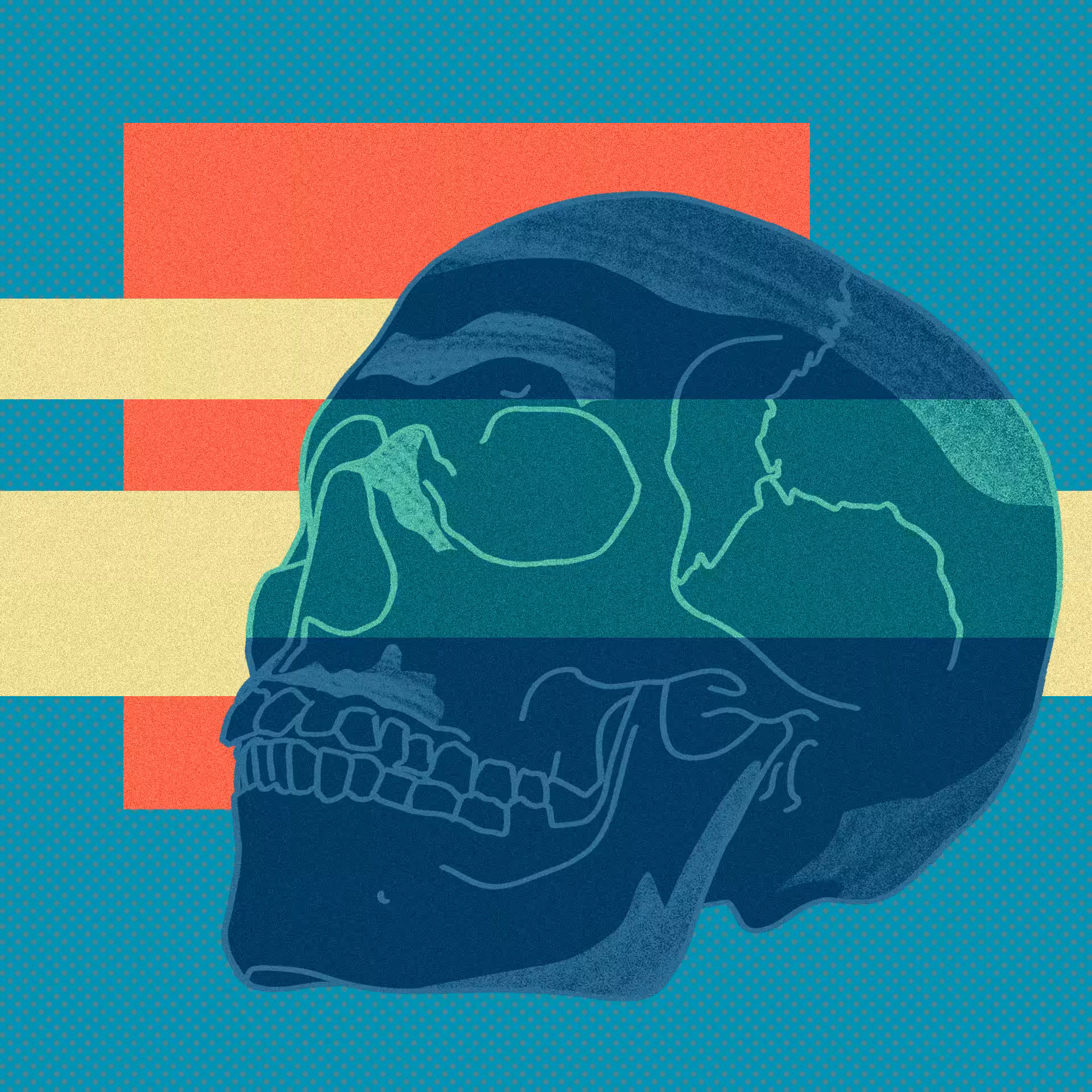 human skull #02