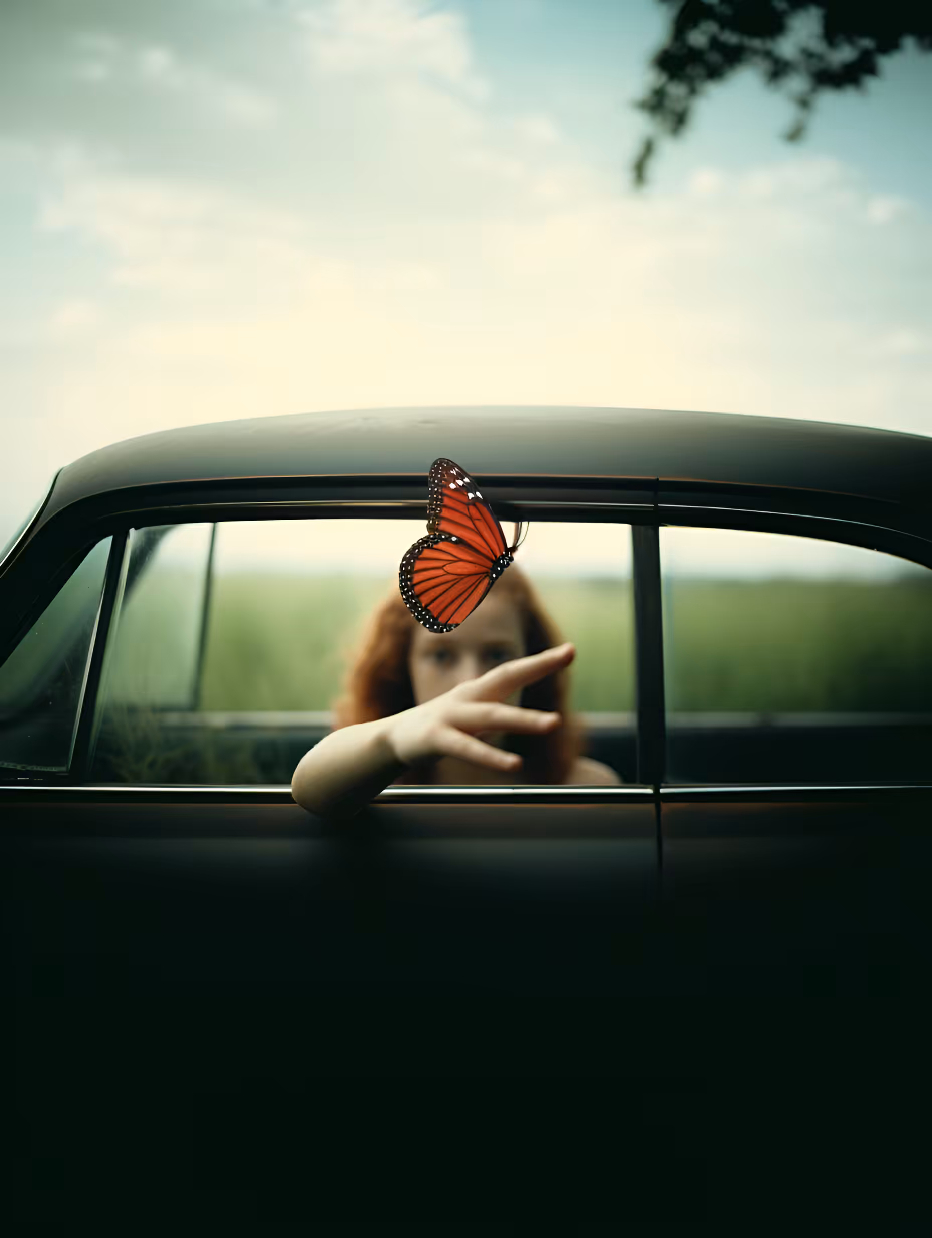 The girl and the butterfly