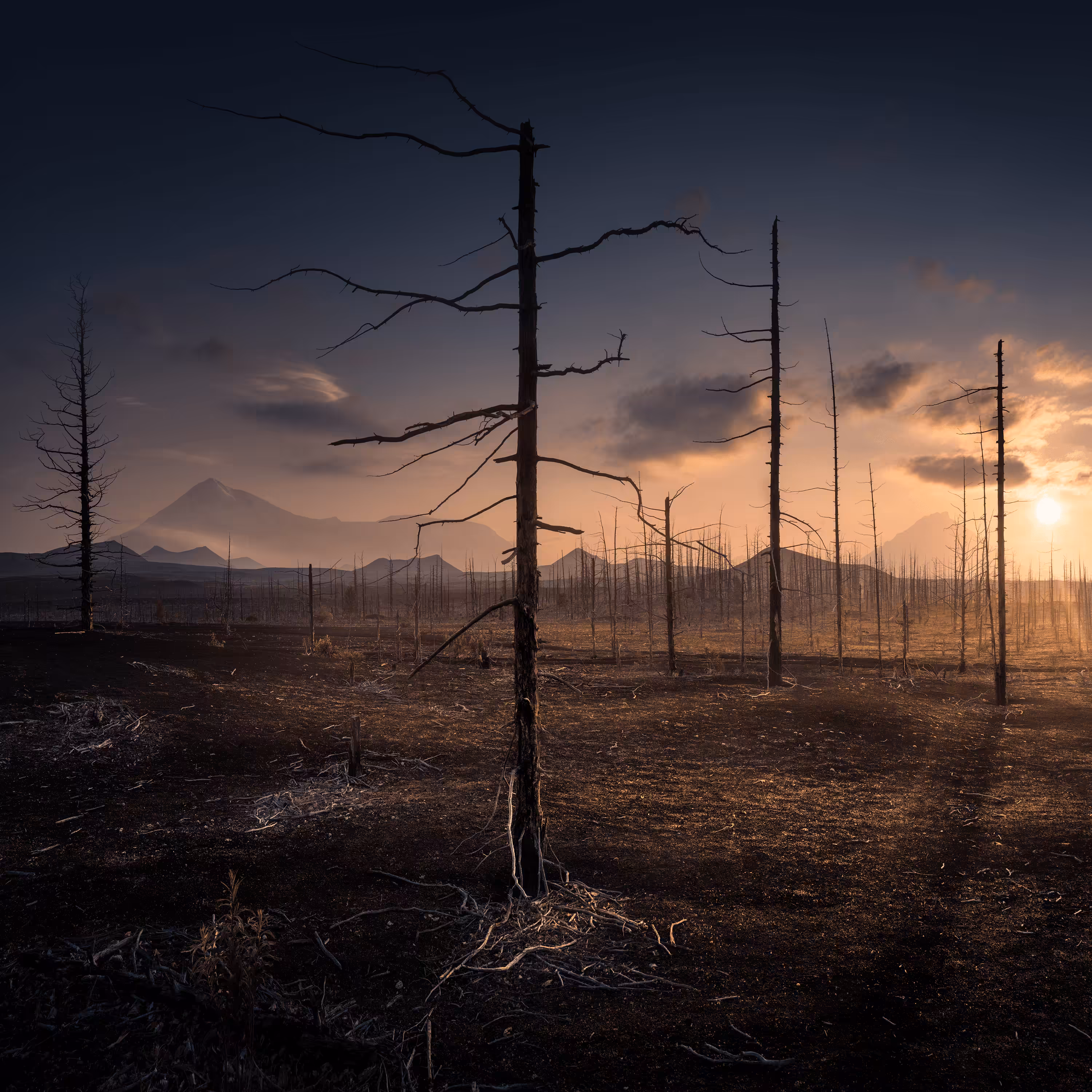 Kamchatka the Abyss of Earth #18