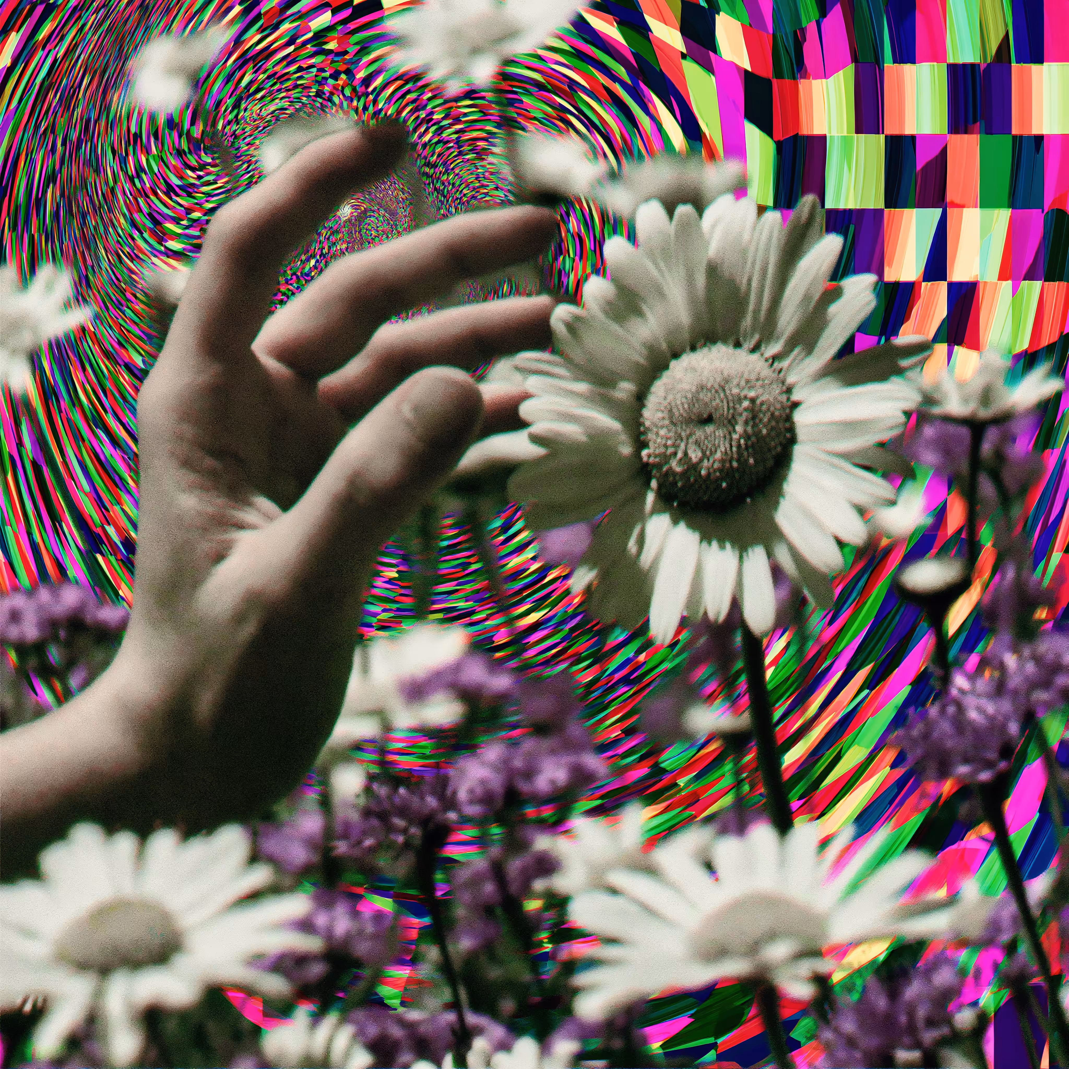 Pushing up daisies 