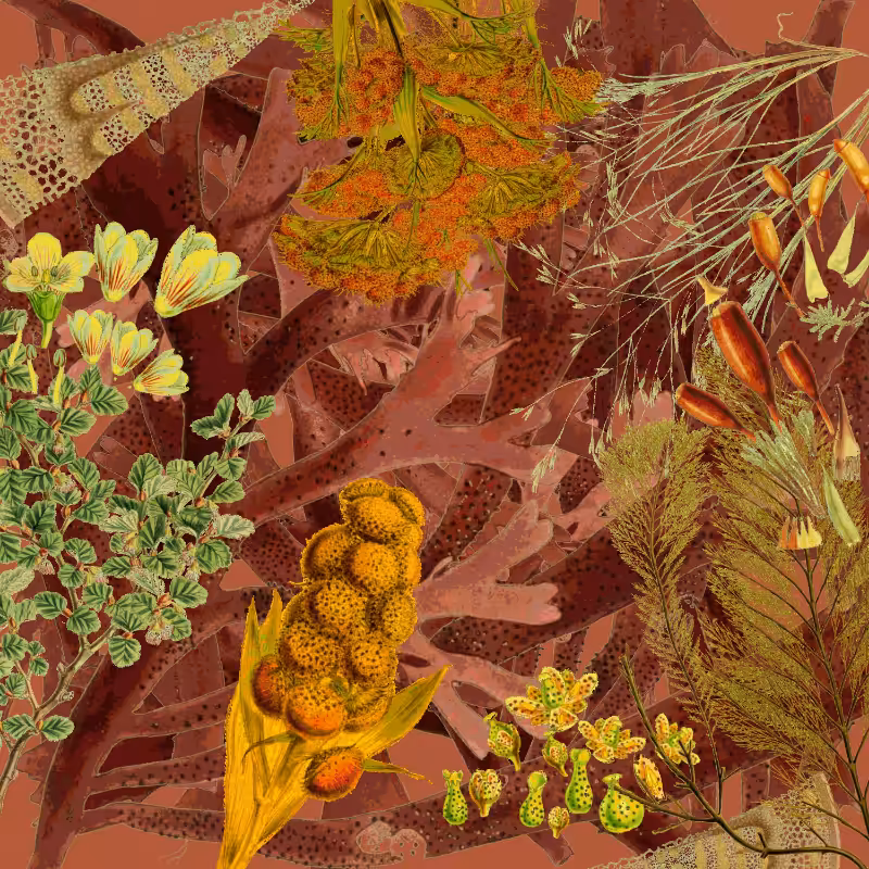 future flora from Antarctica's past #45