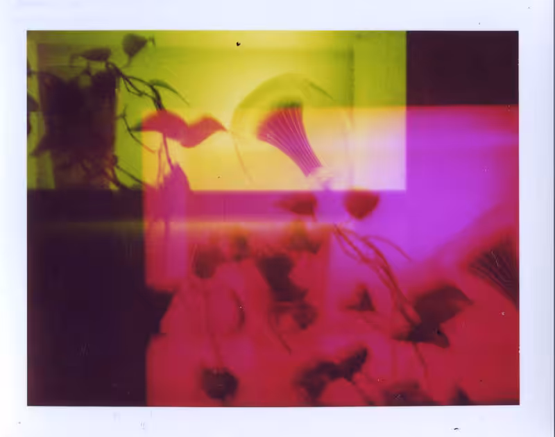 Additive Colors Plants