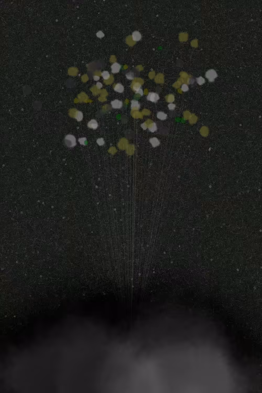 A Bouquet on the Clouds #27