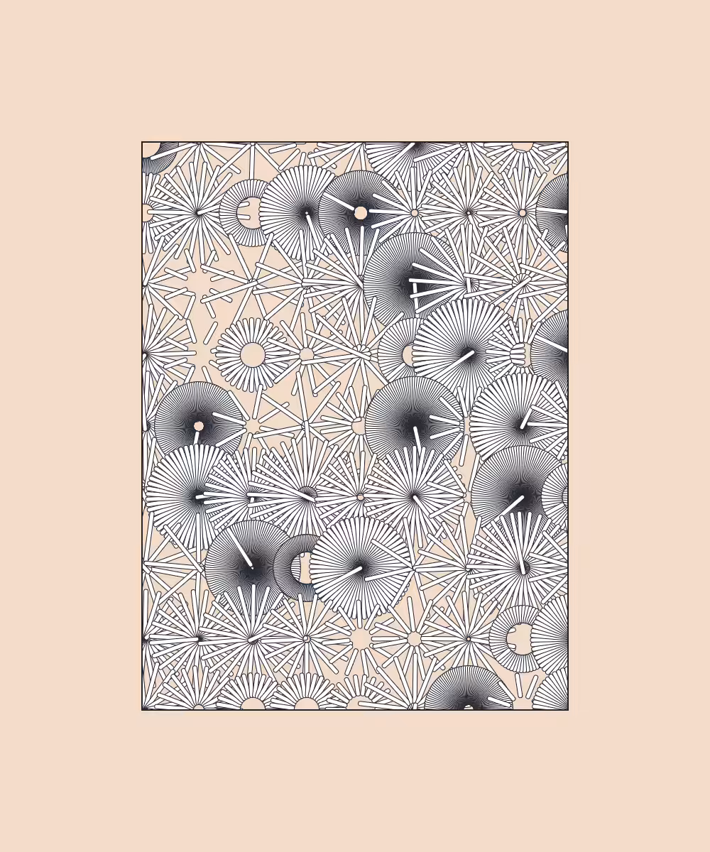 linear patterns (2)