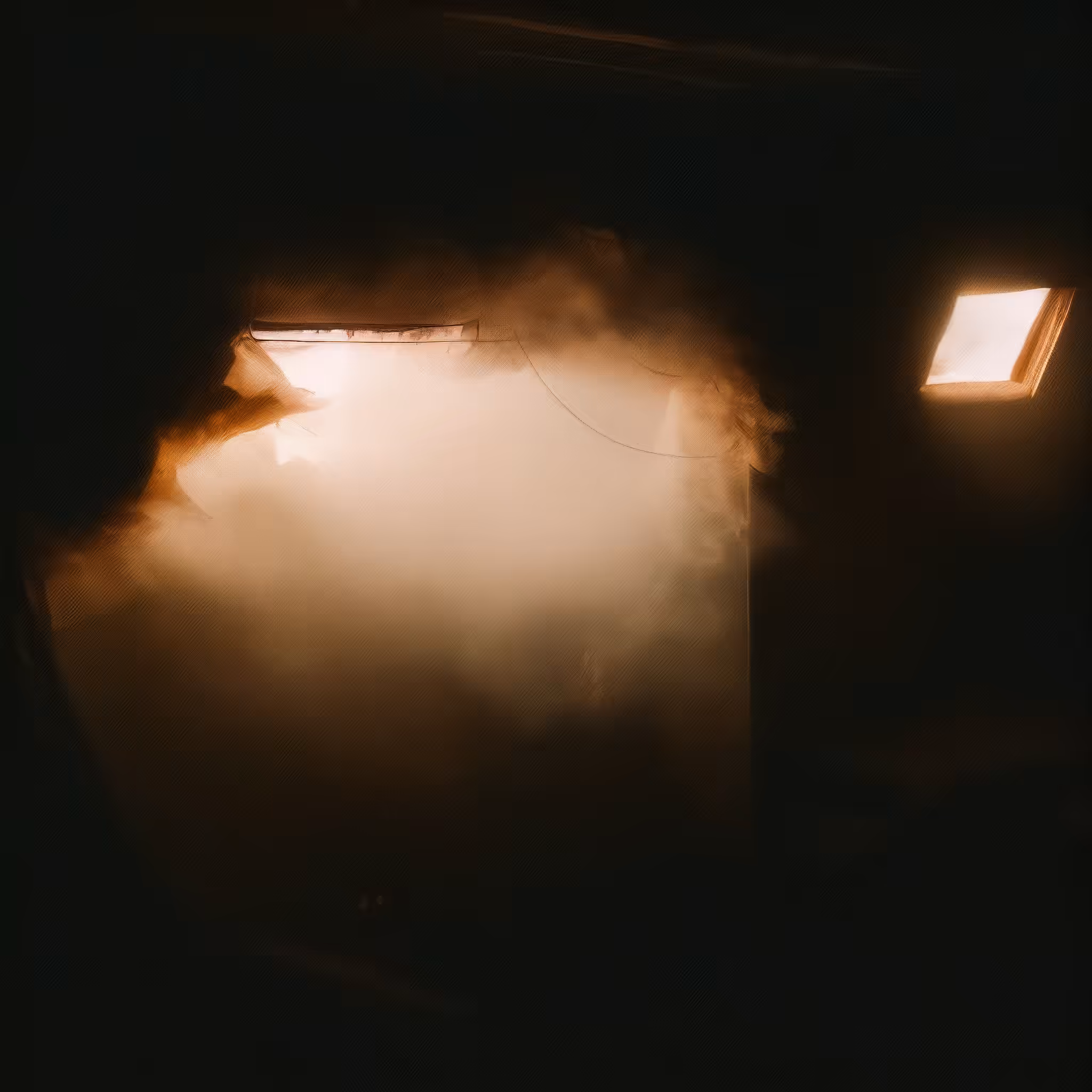 Dustlight