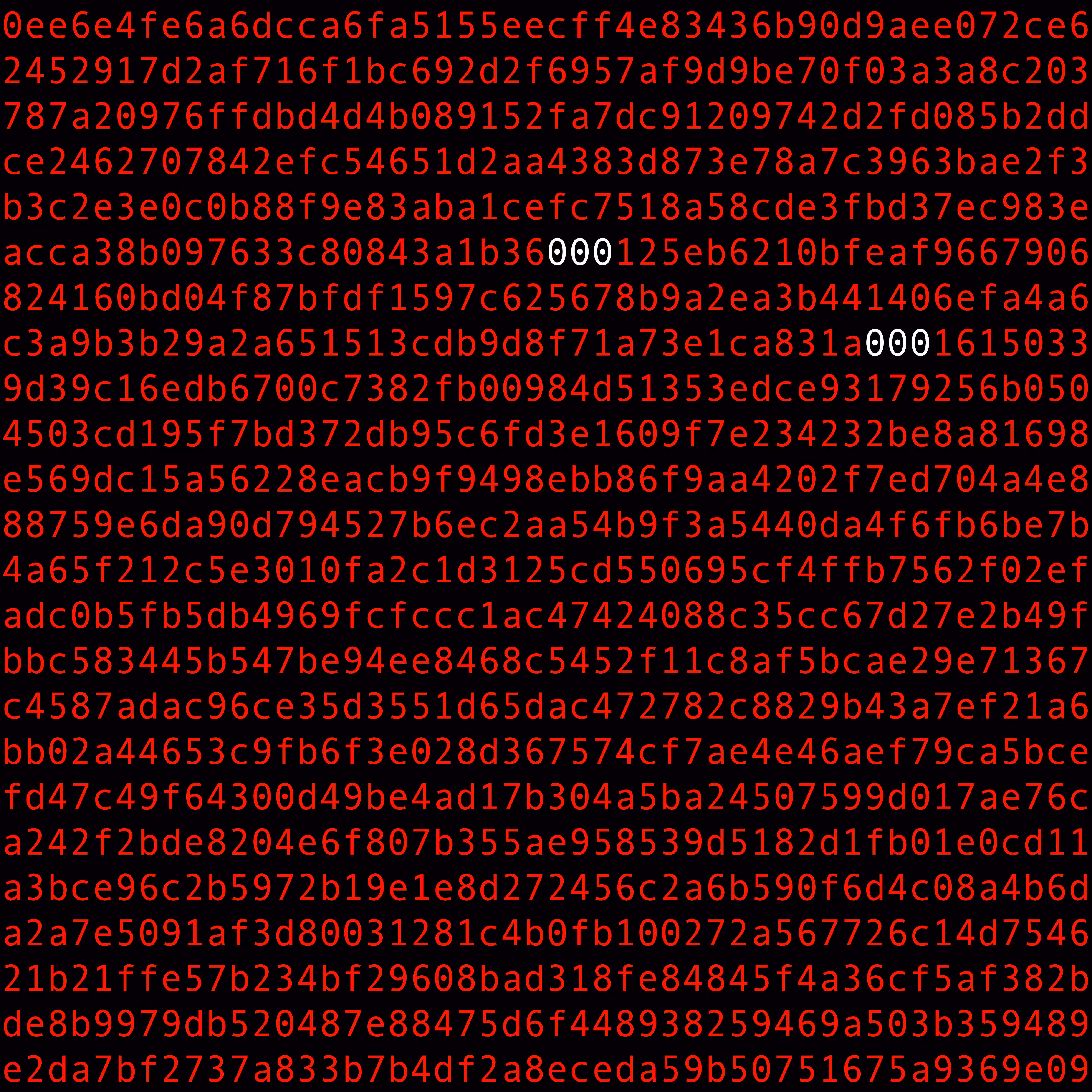1111 #0207