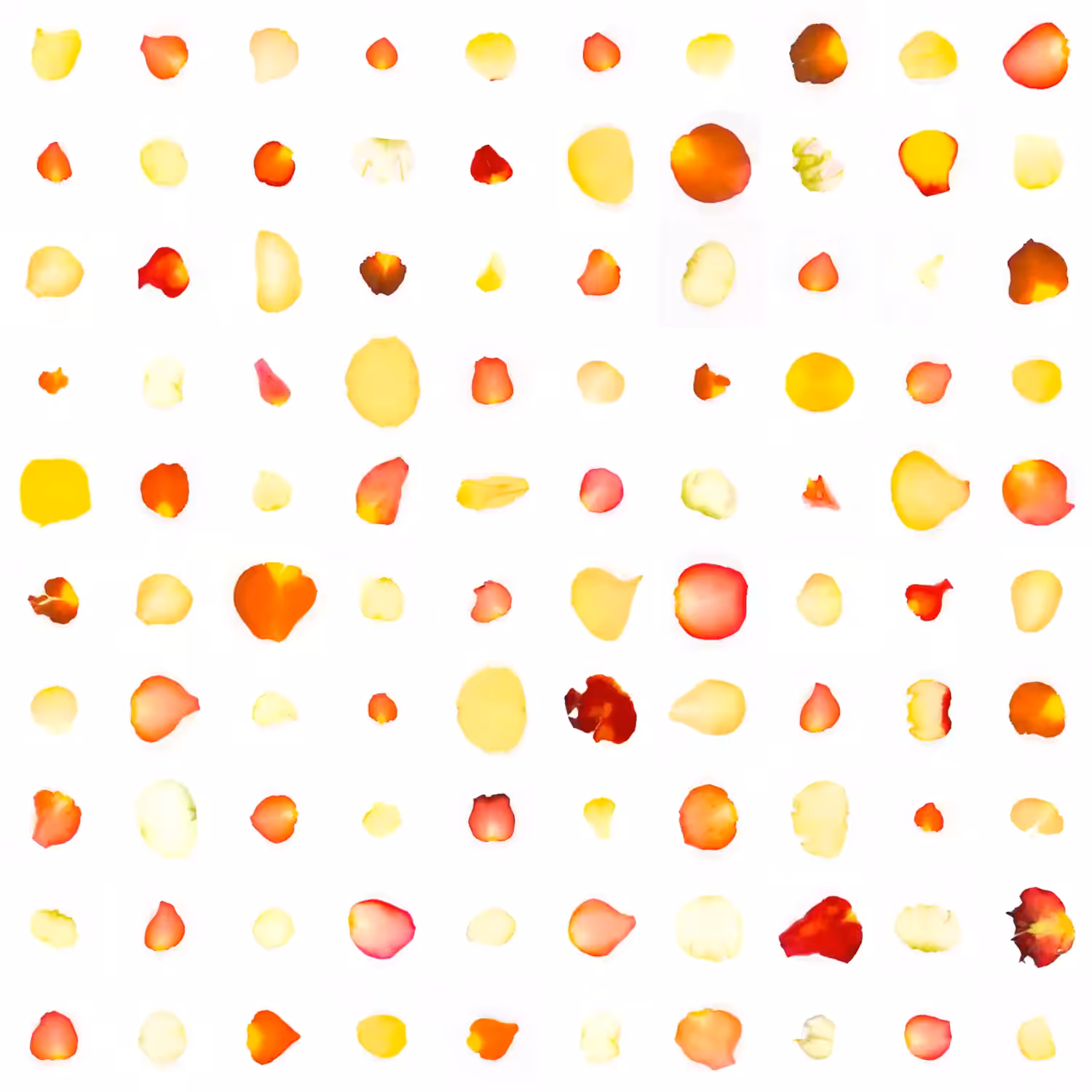Infinite Petals 10x10#4083