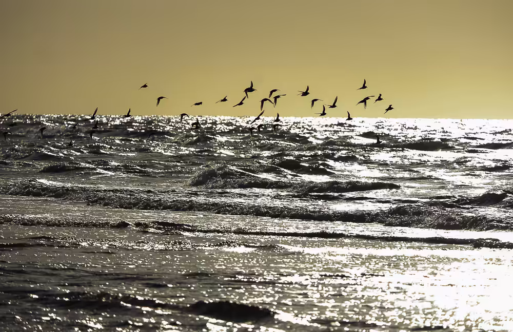 playing in the sea 5 