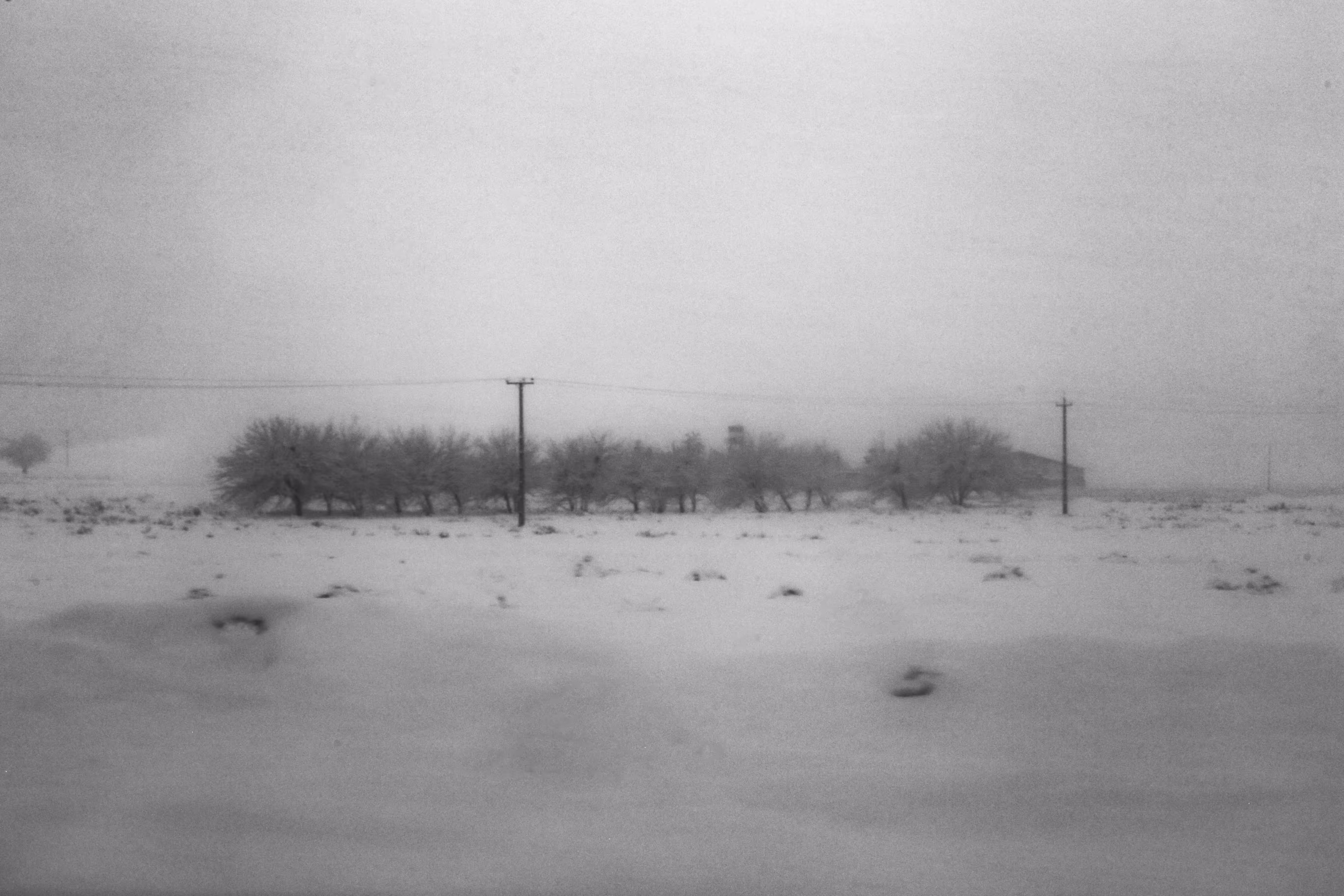 Still Cold