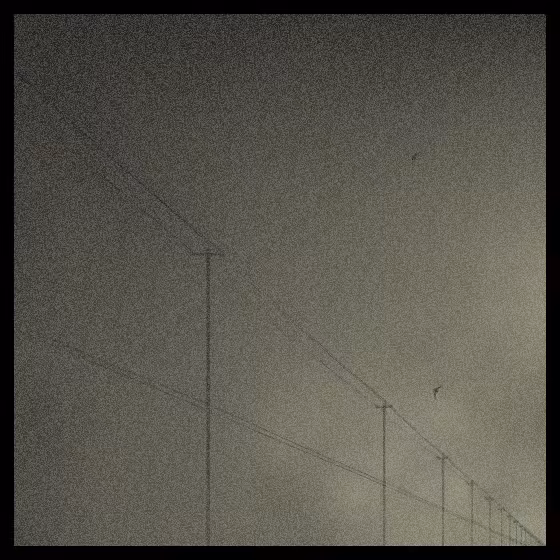 Power Line #23