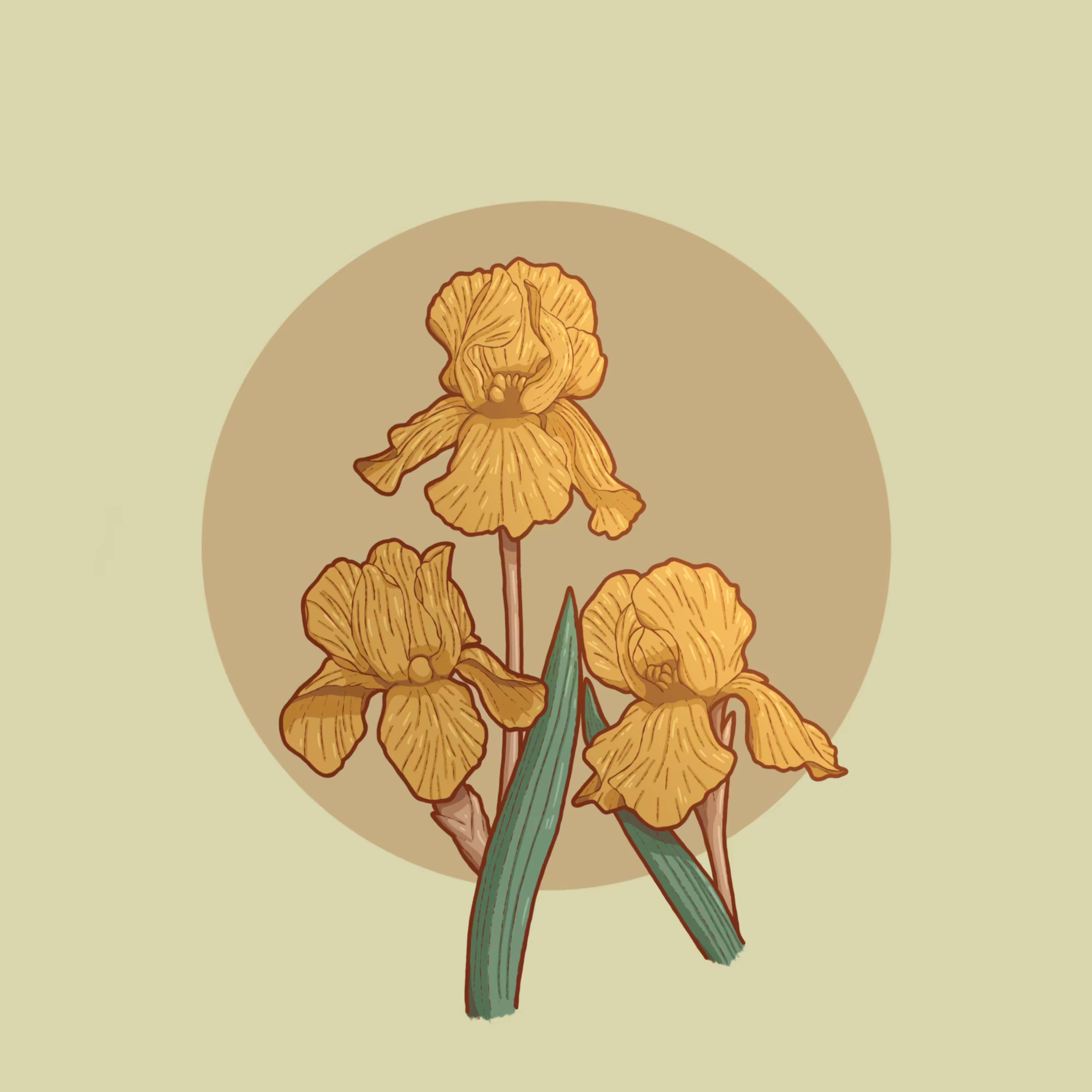 Iris