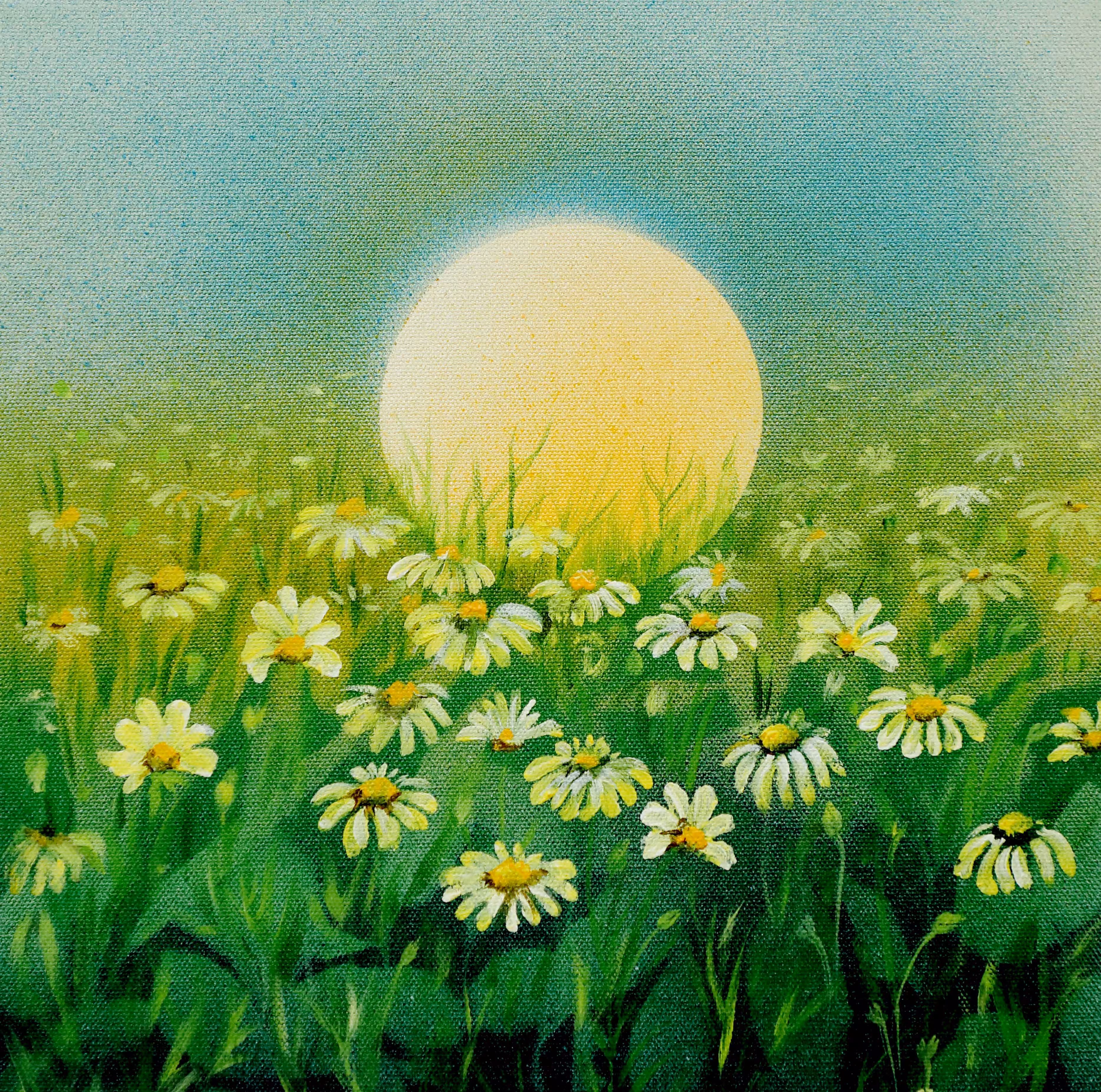 Flowers and sunshine 2