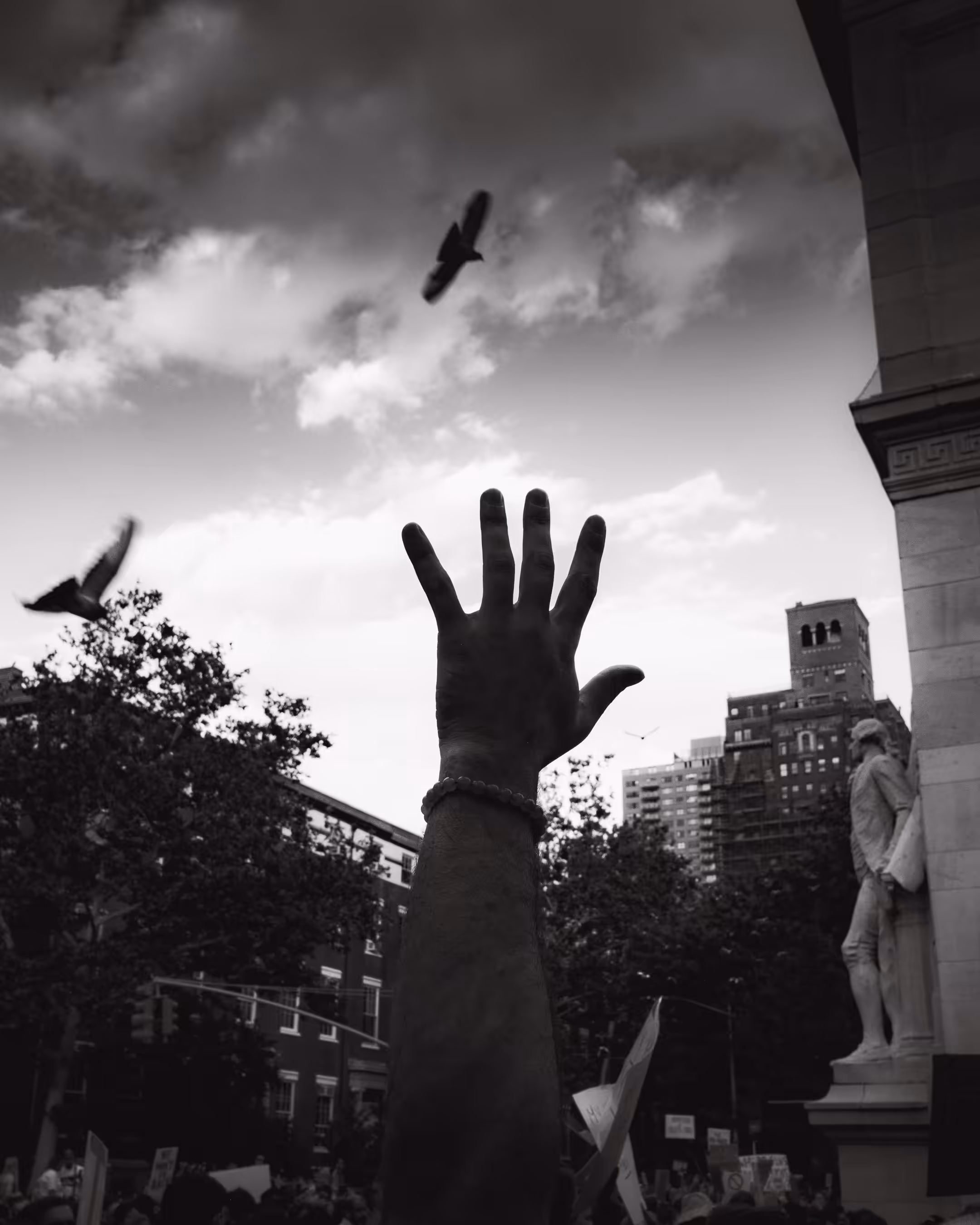 Free Bird