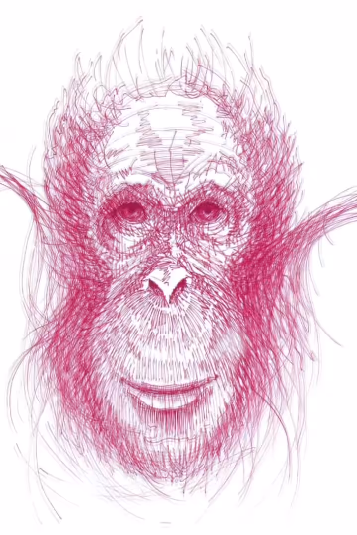 monkey movement