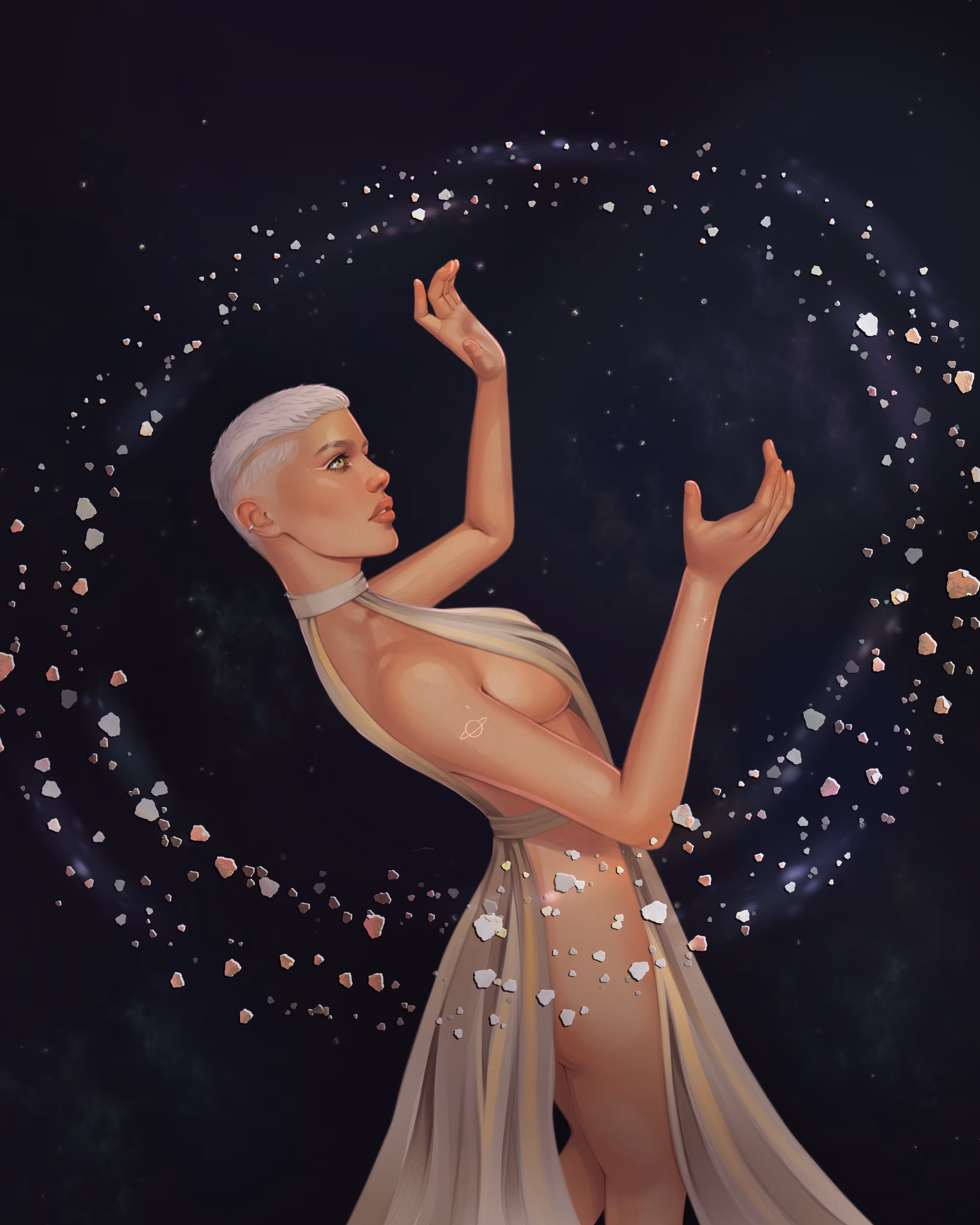 Stellaria