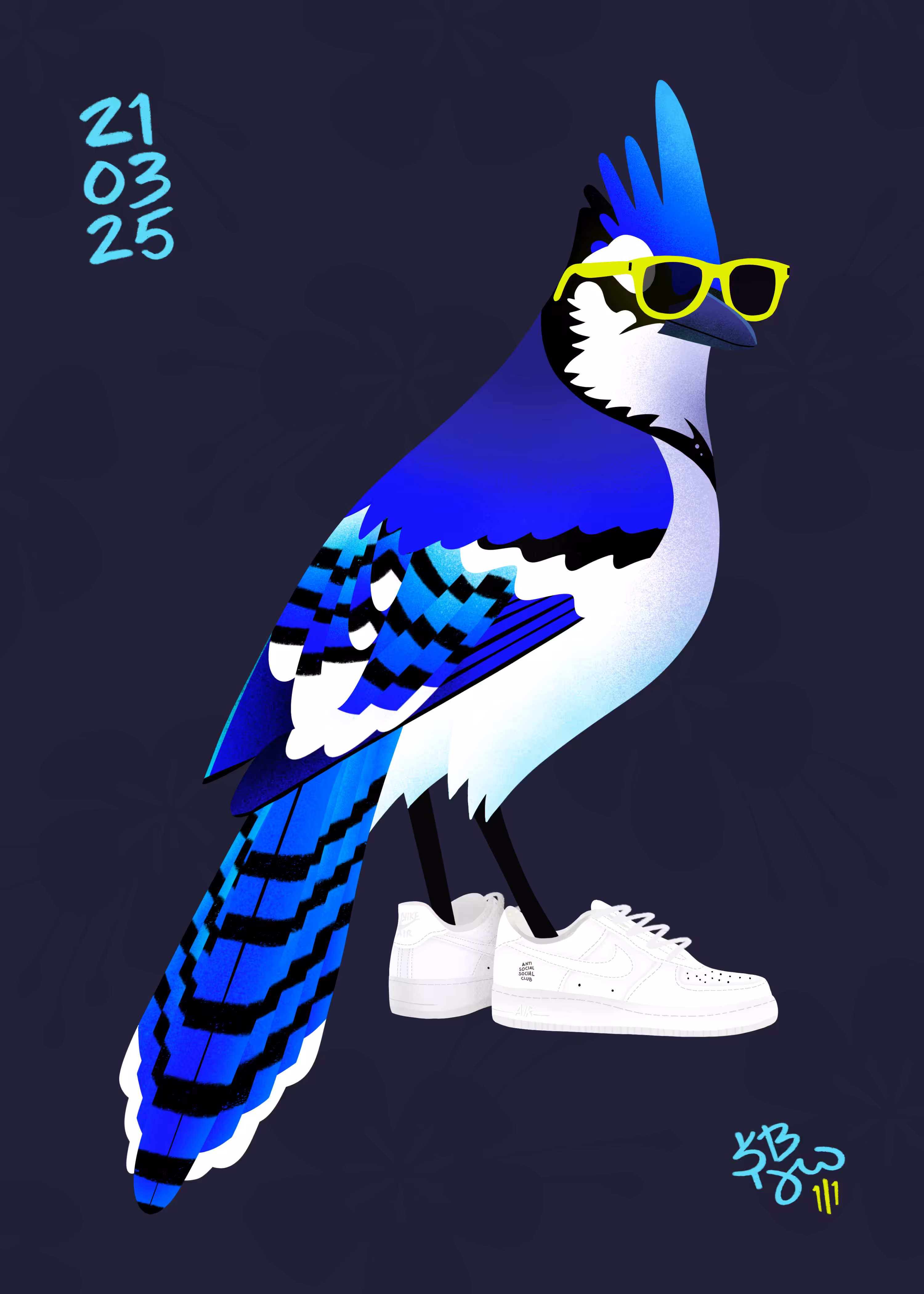 009 Cyanocitta Cristata // Blue Jay