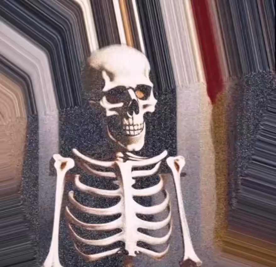 Skull Culture #2